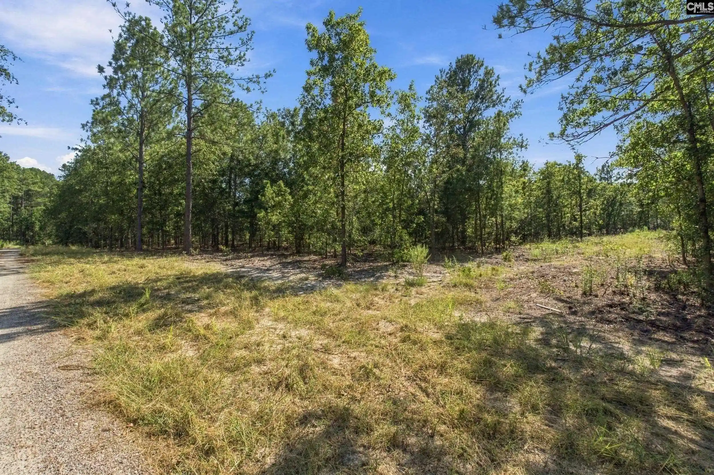 Photo 1 of Sale Pending at 157 Pointers Path, Camden, SC 29020 | MLS# 643310 | Listing updated on 2026-09-30