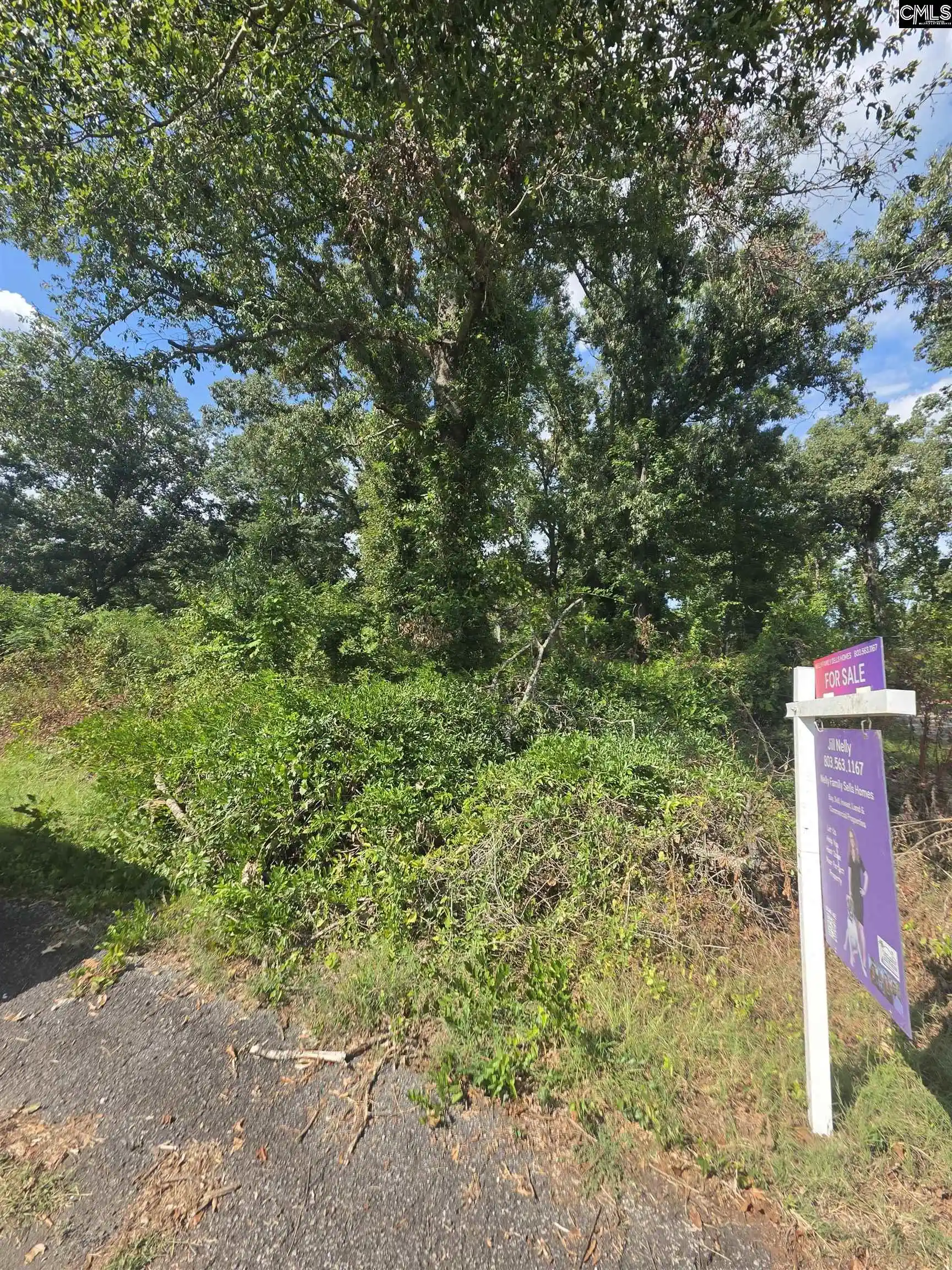 Photo 1 of Land for sale at 755 Rosemont, Waterloo, SC 29384 | MLS# 643315 | Listing updated on 2026-09-18