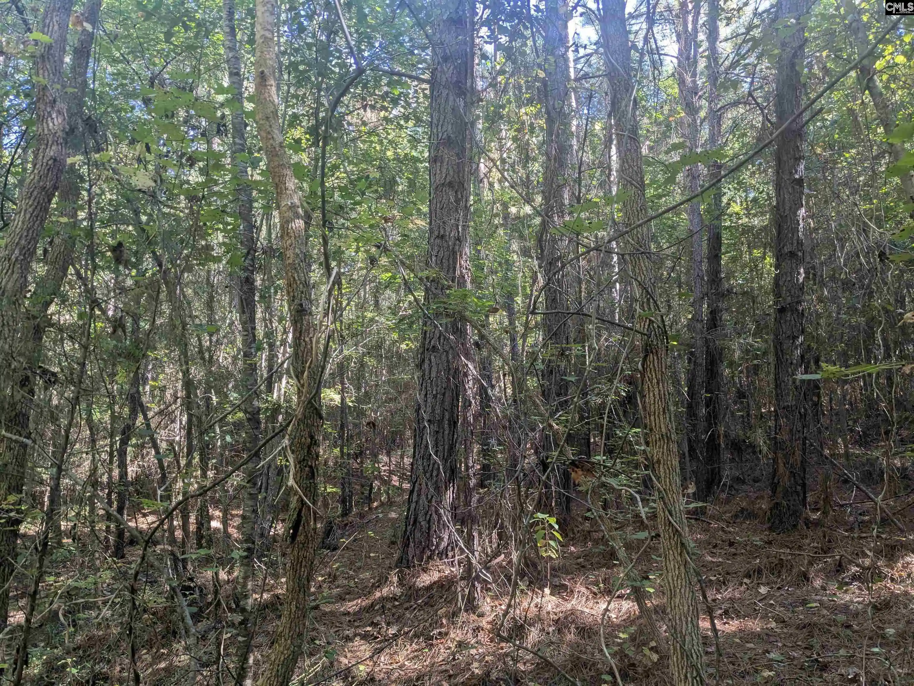 Photo 1 of Land for sale at 0 Timberlane, Winnsboro, SC 29180 | MLS# 643349 | Listing updated on 2026-09-18