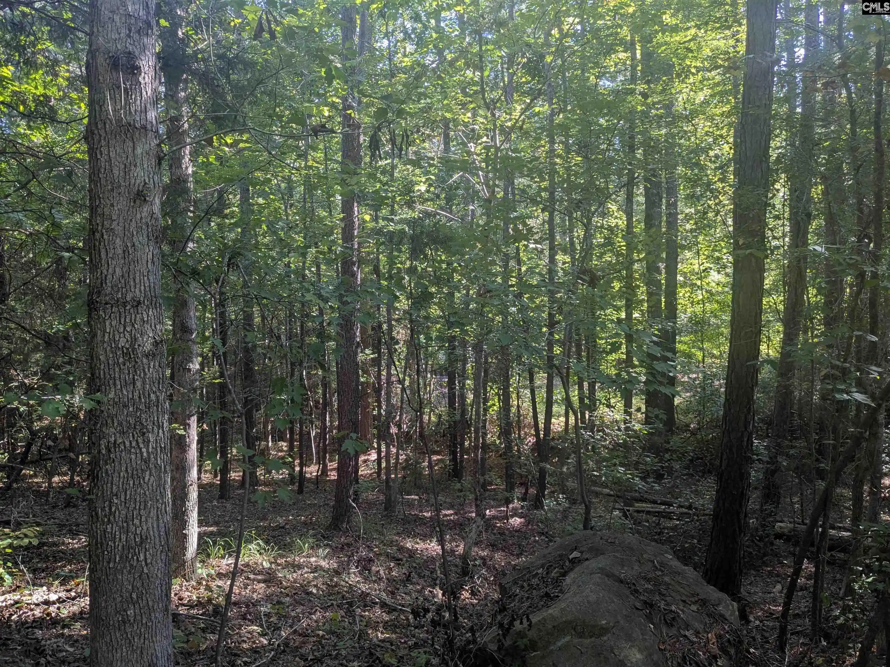 Photo 2 of Land for sale at 0 Timberlane, Winnsboro, SC 29180 | MLS# 643349 | Listing updated on 2026-09-18