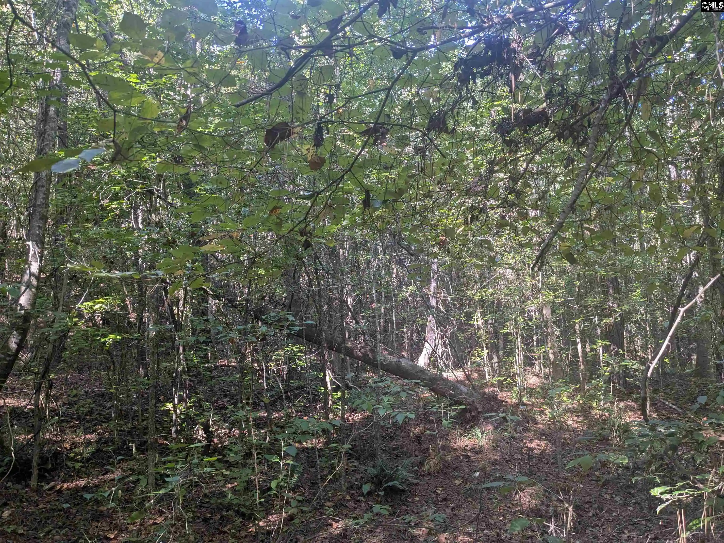 Photo 3 of Land for sale at 0 Timberlane, Winnsboro, SC 29180 | MLS# 643349 | Listing updated on 2026-09-18