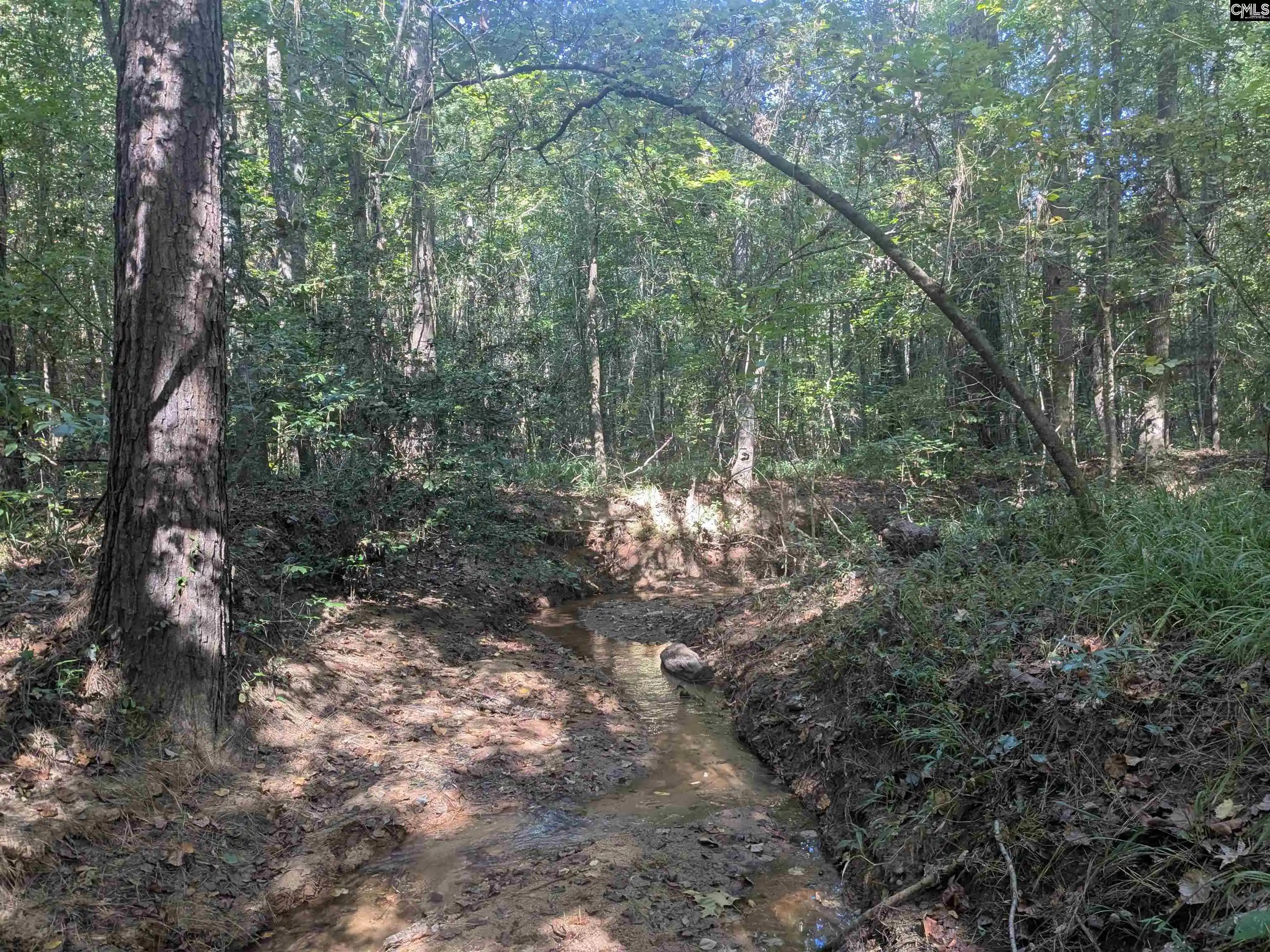 Photo 3 of Land for sale at 0 Timberlane, Winnsboro, SC 29180 | MLS# 643349 | Listing updated on 2026-09-18