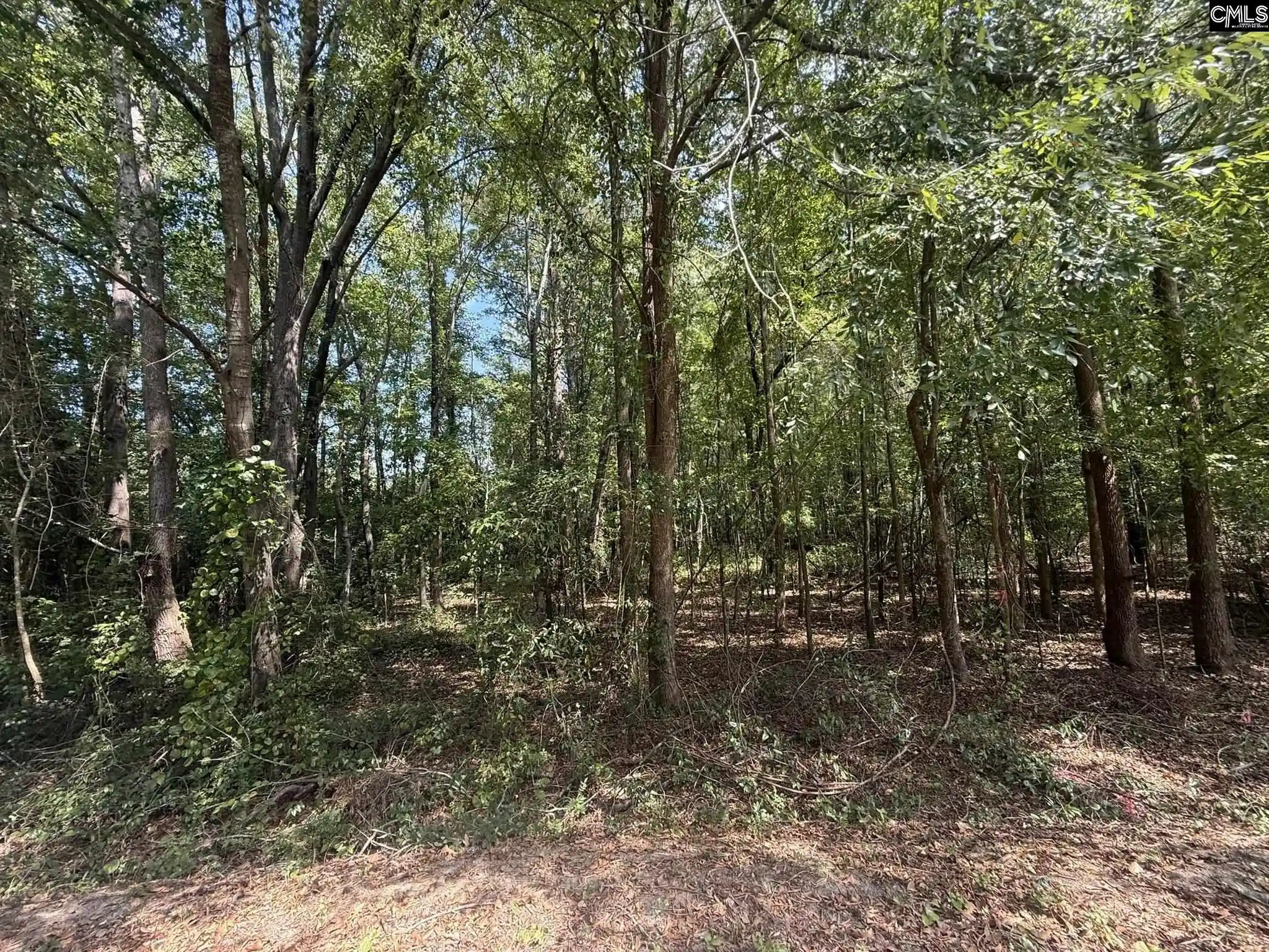 Land for sale at 3938 Timrod, Bethune, SC 29009 | MLS# 643362