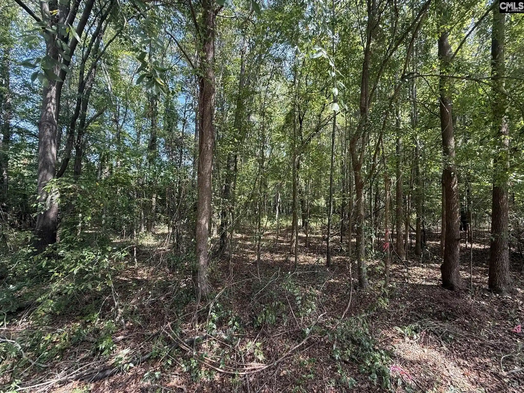 Photo 2 of Land for sale at 3938 Timrod, Bethune, SC 29009 | MLS# 643362 | Listing updated on 2026-09-18