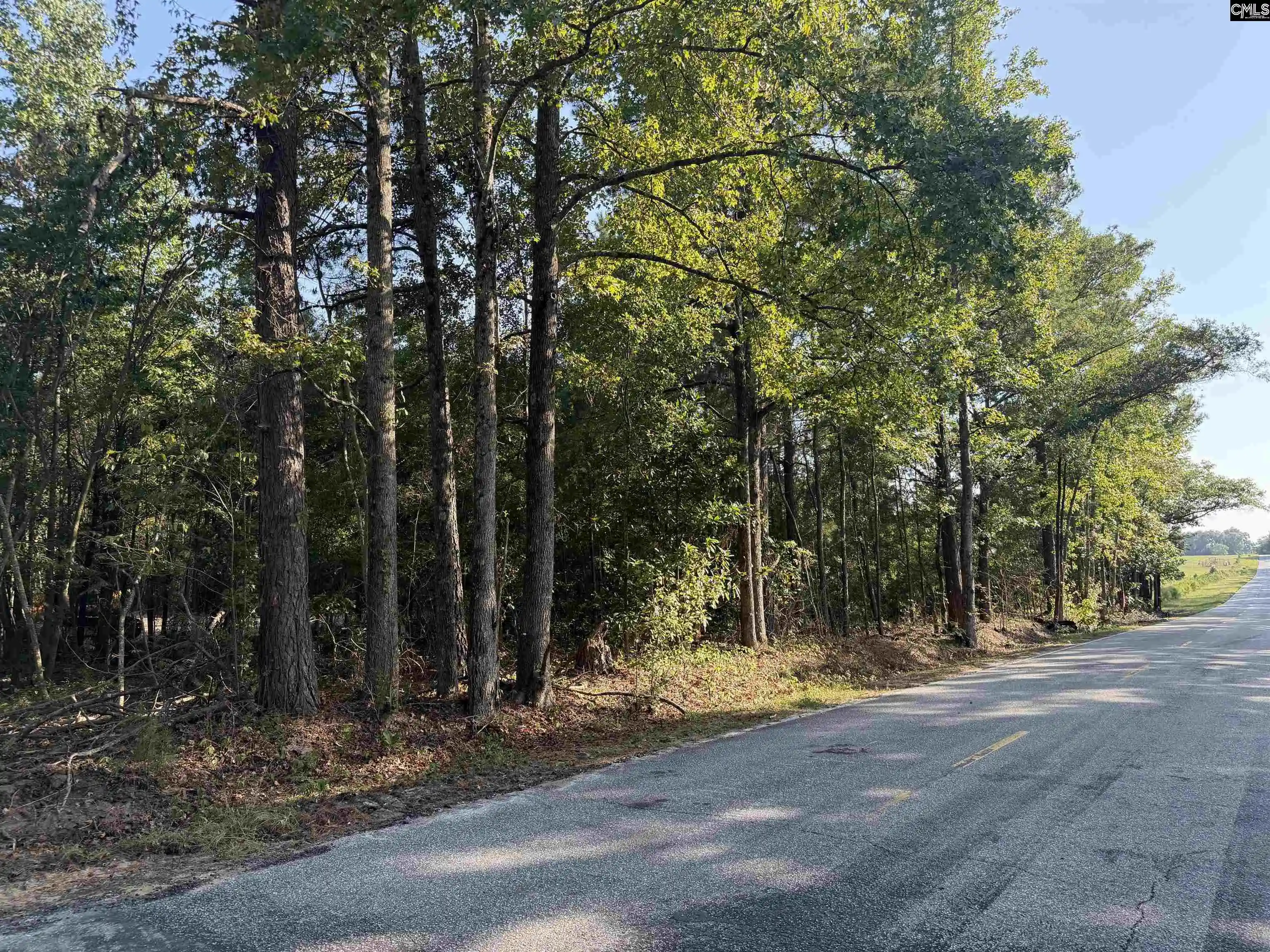 Photo 2 of Land for sale at Tbd New Hopewell, Hartsville, SC 29550 | MLS# 643380 | Listing updated on 2026-09-29
