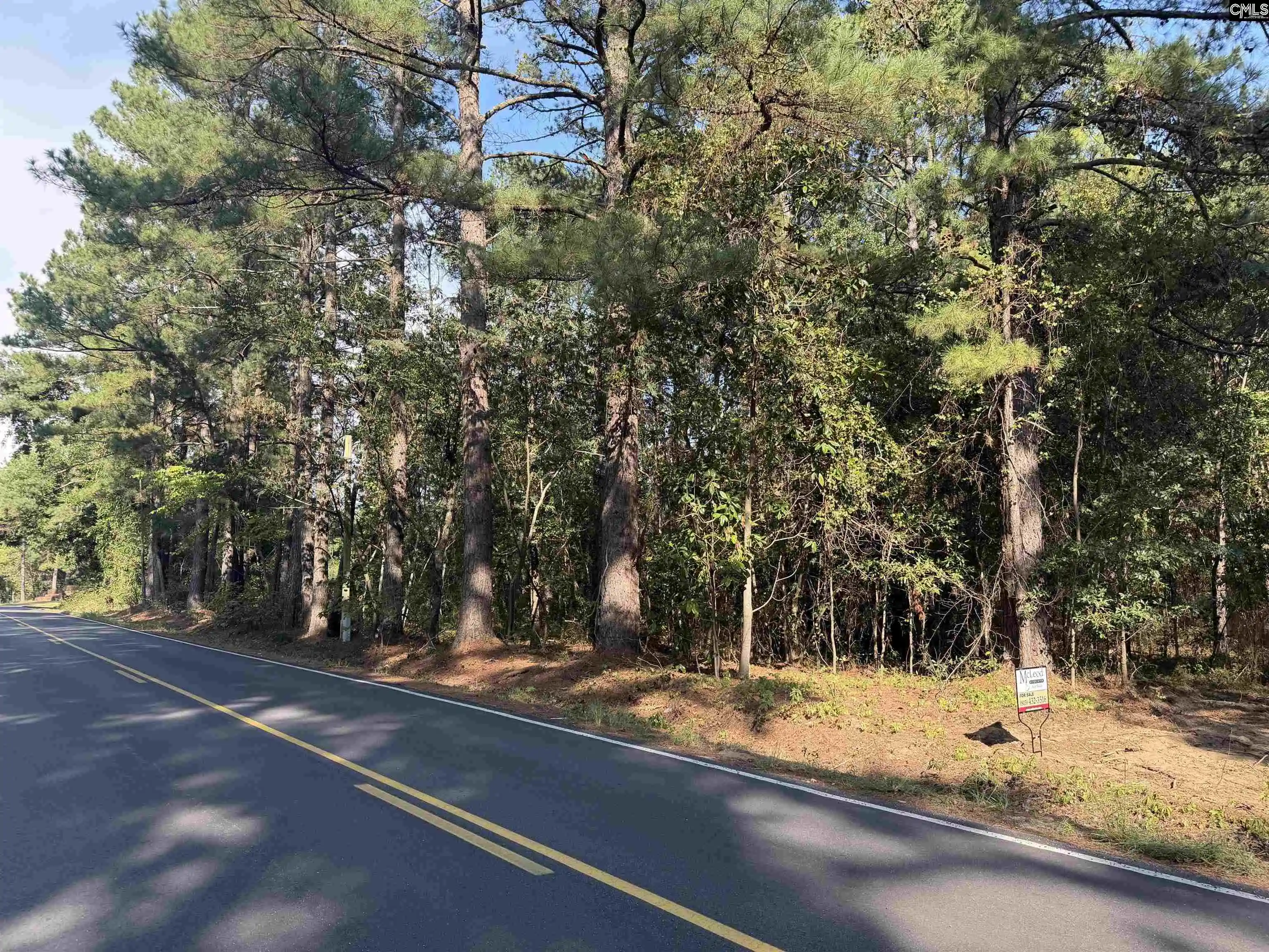 Photo 3 of Land for sale at Tbd New Hopewell, Hartsville, SC 29550 | MLS# 643380 | Listing updated on 2026-09-29