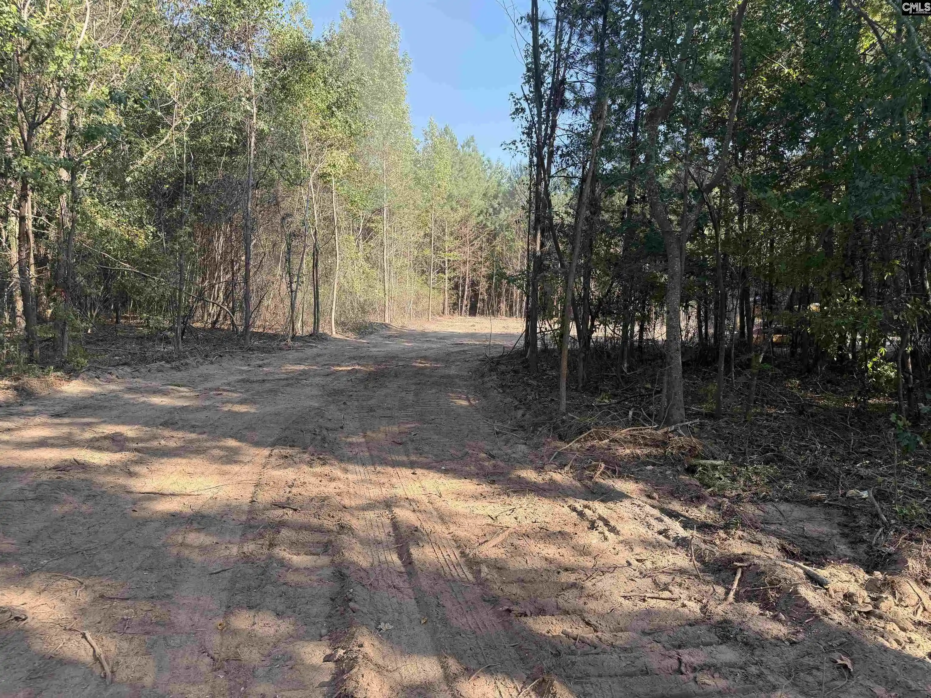 Photo 11 of Land for sale at Tbd New Hopewell, Hartsville, SC 29550 | MLS# 643380 | Listing updated on 2026-09-29