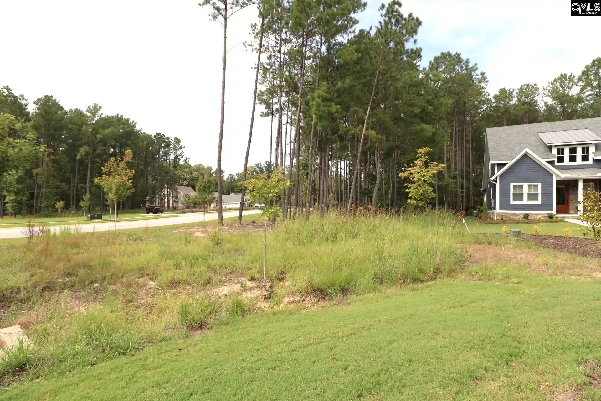 Photo 3 of Land for sale at Lot 107 Timber Trl, Prosperity, SC 29127 | MLS# 643482 | Listing updated on 2026-09-21