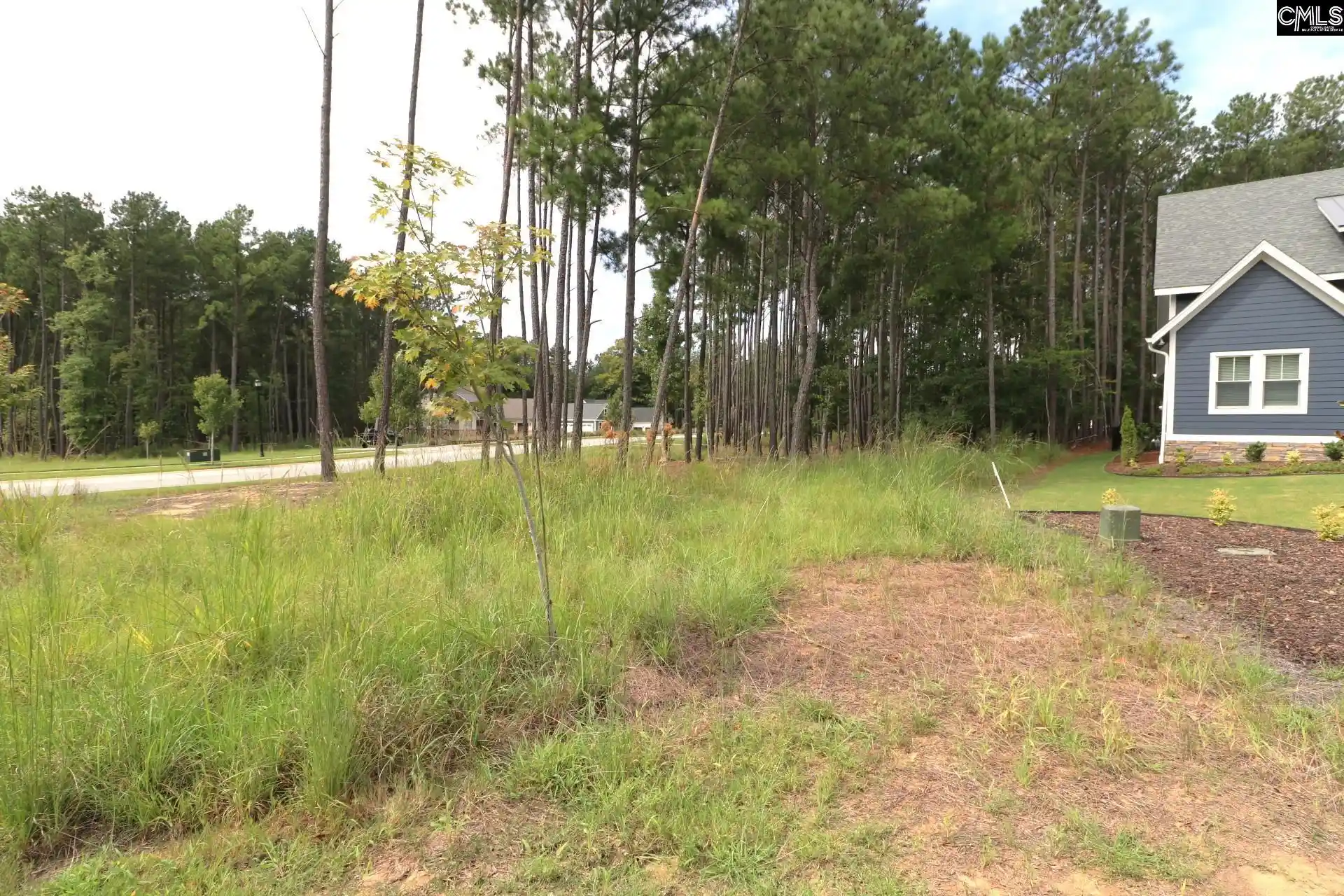 Photo 4 of Land for sale at Lot 107 Timber Trl, Prosperity, SC 29127 | MLS# 643482 | Listing updated on 2026-09-21
