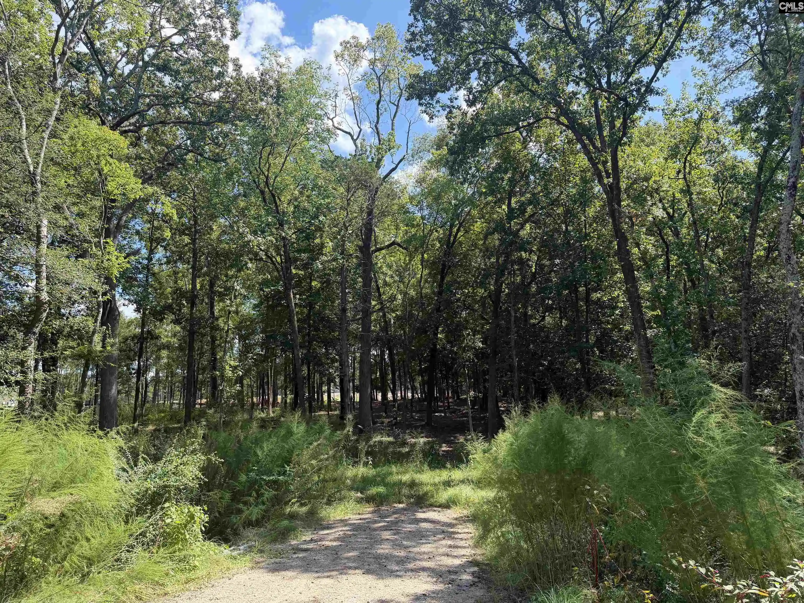 Photo 2 of Land for sale at 1227 Beechcreek, Lexington, SC 29072 | MLS# 643488 | Listing updated on 2026-09-22