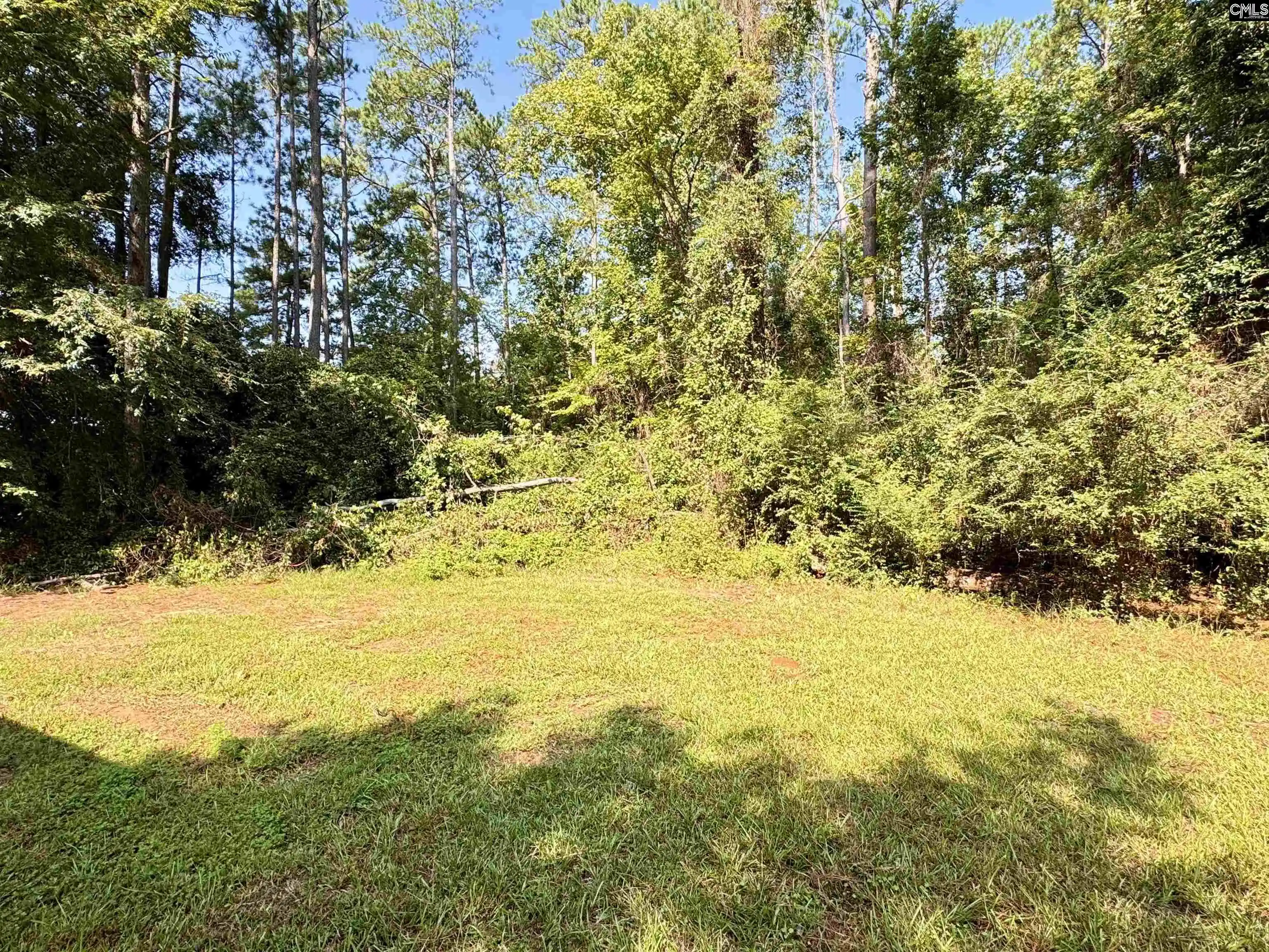 Photo 4 of Single family home for sale at 125 Bayfield, Chapin, SC 29036 | MLS# 643498 | Listing updated on 2026-09-22