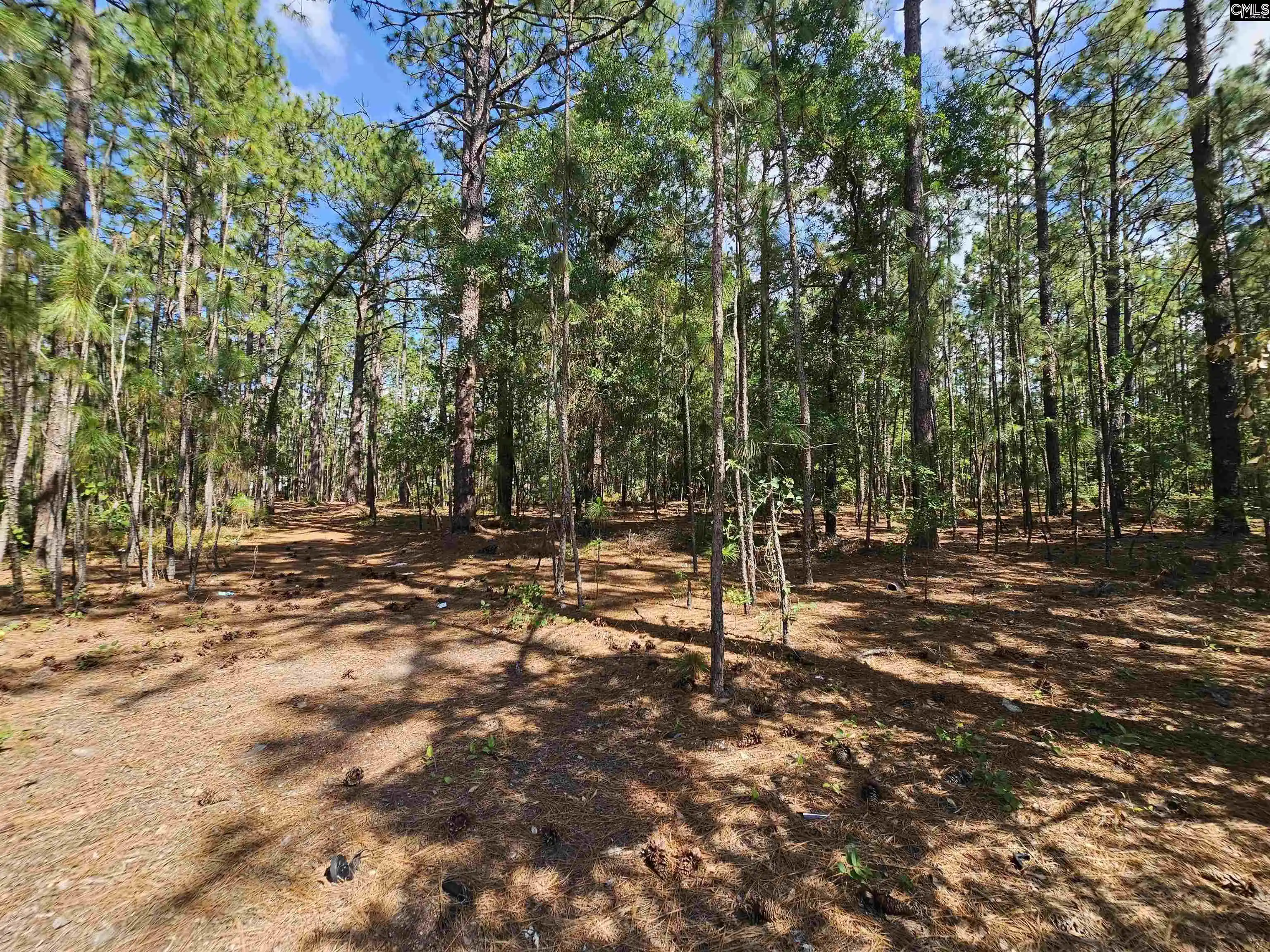 Photo 3 of Sale Pending at 170 Happy Ridge, West Columbia, SC 29170 | MLS# 643513 | Listing updated on 2026-09-22