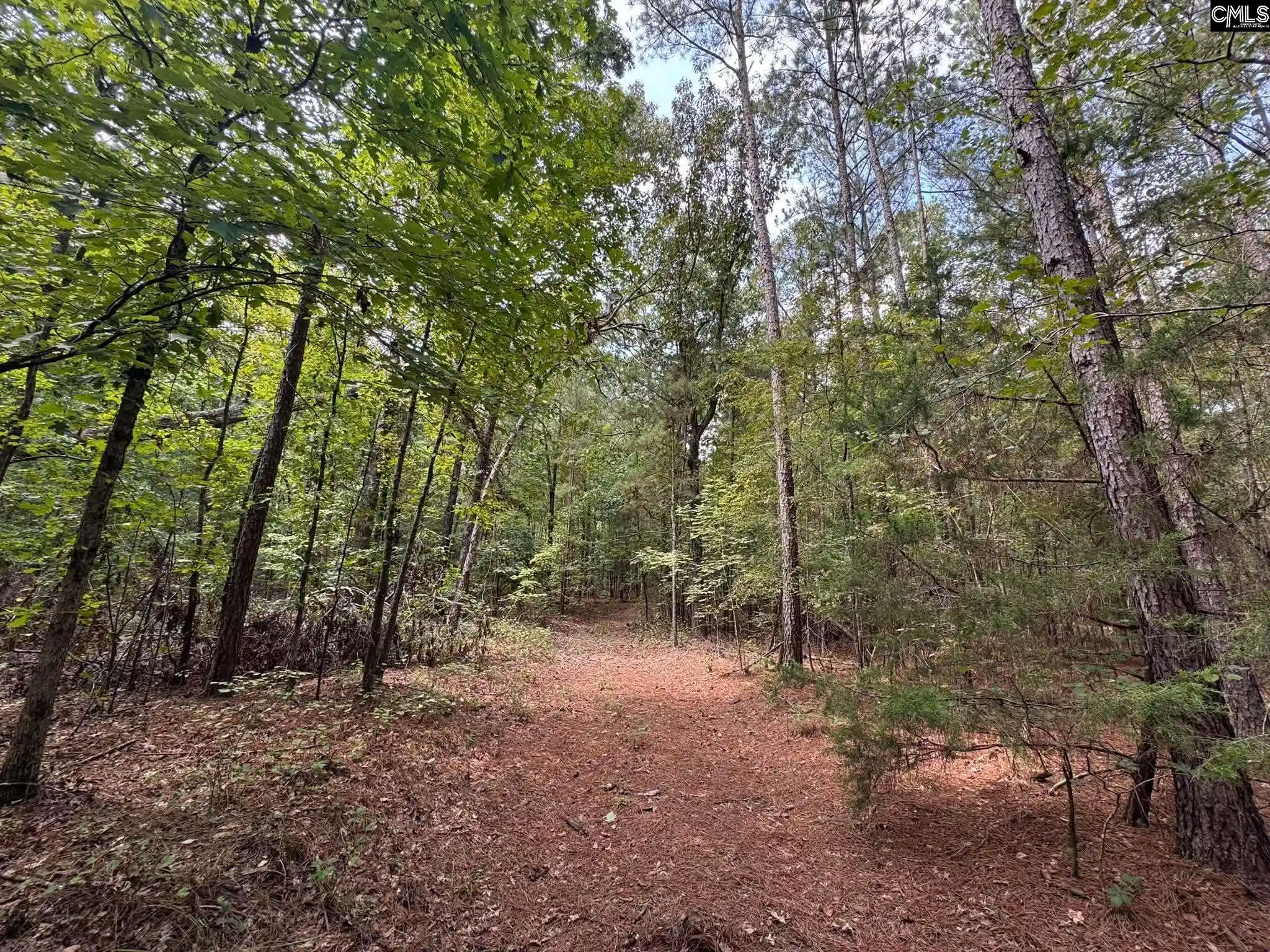Photo 2 of Land for sale at Pencreek, Johnston, SC 29832 | MLS# 643526 | Listing updated on 2026-09-22