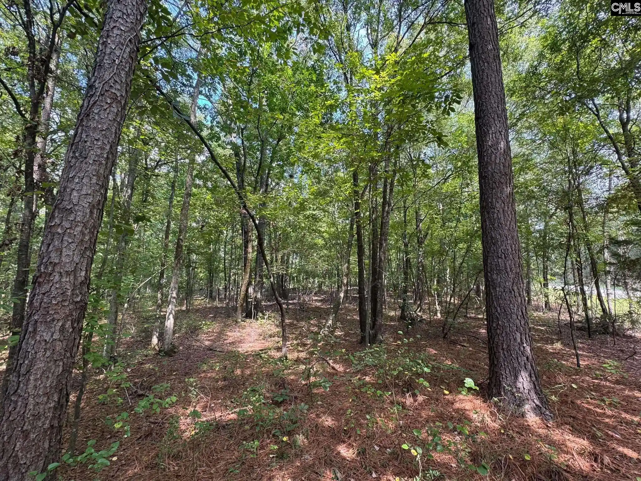 Photo 3 of Land for sale at Pencreek, Johnston, SC 29832 | MLS# 643526 | Listing updated on 2026-09-22