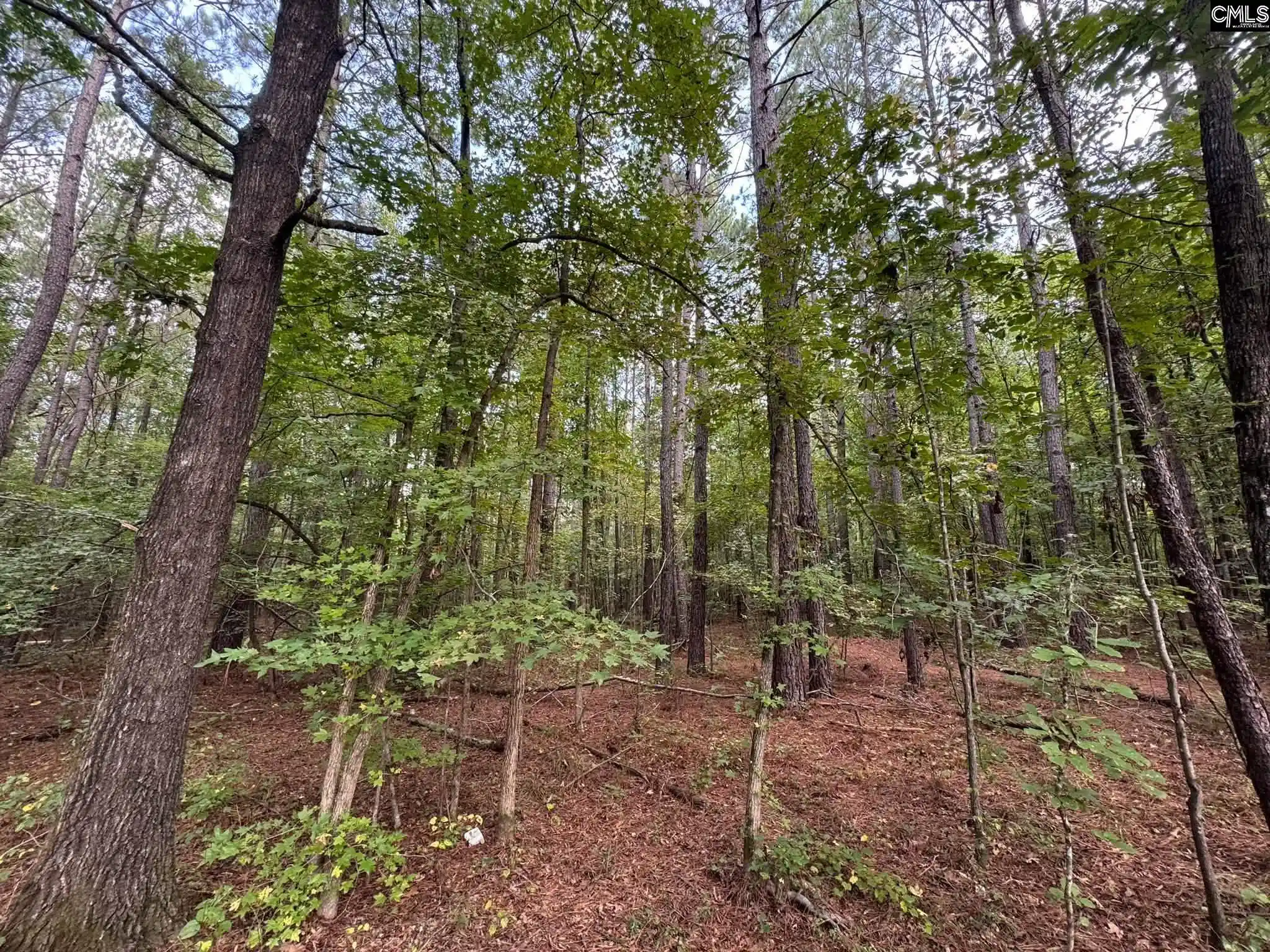 Photo 3 of Land for sale at Pencreek, Johnston, SC 29832 | MLS# 643526 | Listing updated on 2026-09-22
