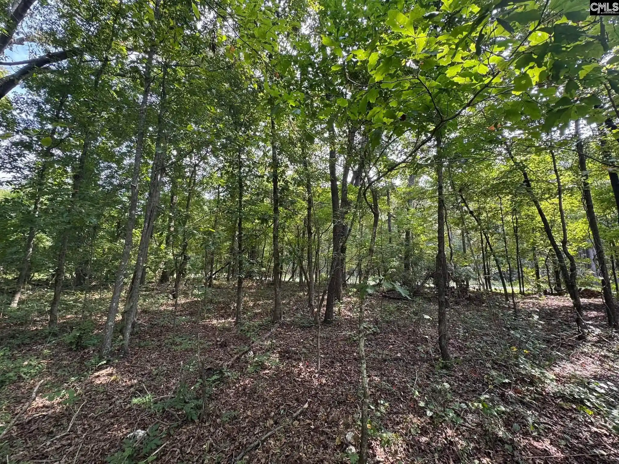 Photo 4 of Land for sale at Pencreek, Johnston, SC 29832 | MLS# 643526 | Listing updated on 2026-09-22