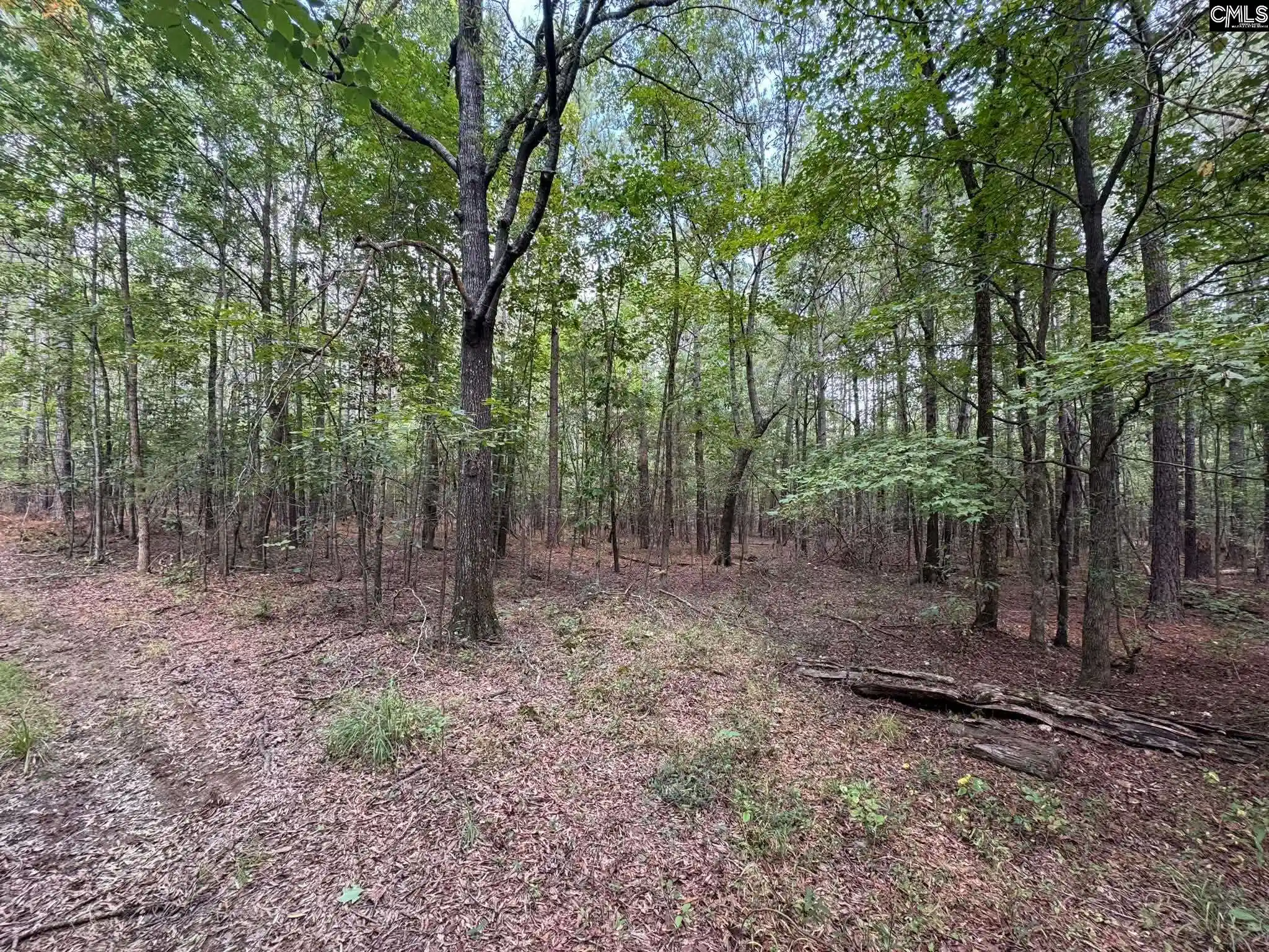 Photo 59 of Land for sale at Pencreek, Johnston, SC 29832 | MLS# 643526 | Listing updated on 2026-09-22