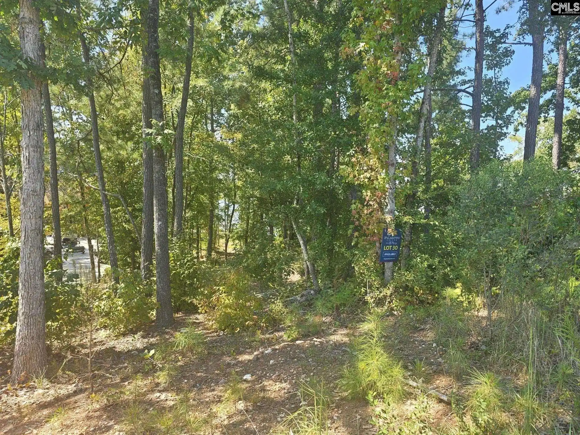 Photo 3 of Land for sale at Lot 30 Longview, Leesville, SC 29070 | MLS# 643656 | Listing updated on 2026-09-24