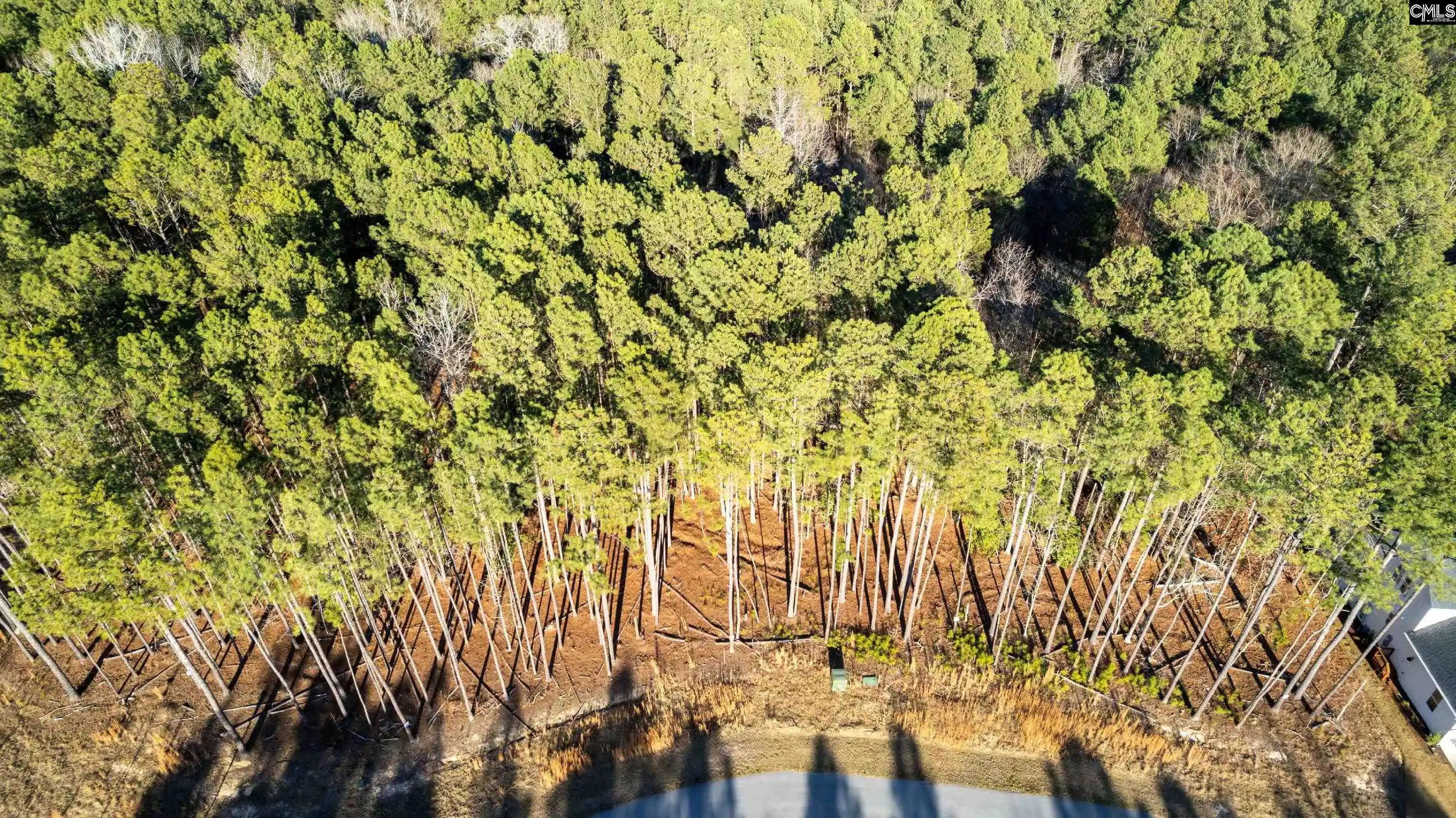 Photo 1 of Land for sale at Lot 83 Timber Trl Ln, Prosperity, SC 29127 | MLS# 643692 | Listing updated on 2026-09-24