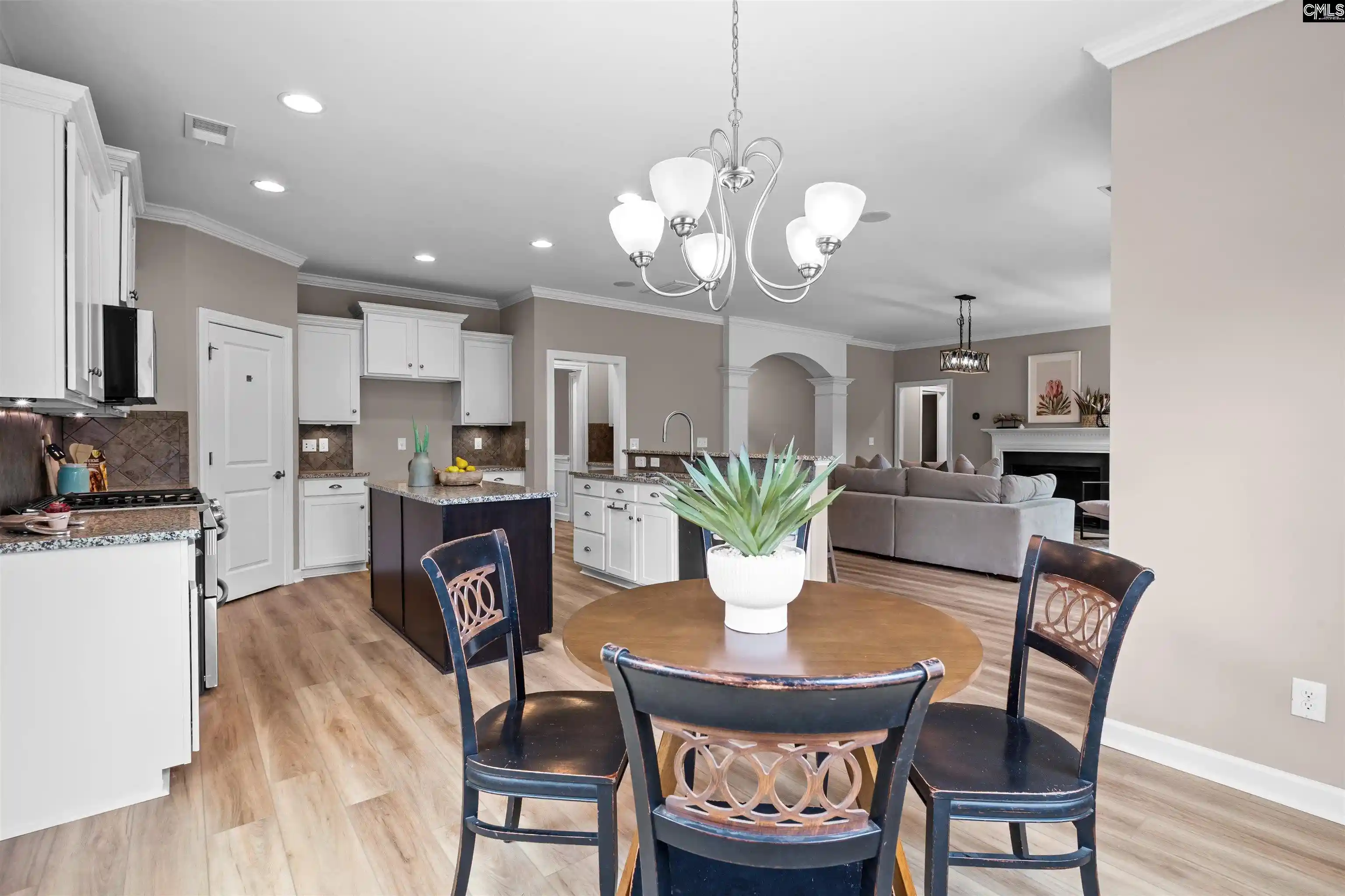 Photo 3 of Single family home for sale at 220 Indigo Hills, Chapin, SC 29036 | MLS# 643727 | Listing updated on 2026-09-25