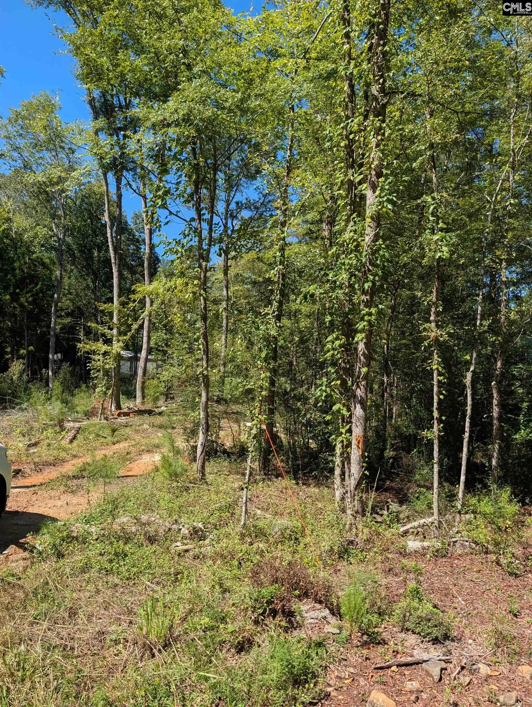 Photo 3 of Land for sale at 1107 Hopewell Church, Irmo, SC 29063 | MLS# 643832 | Listing updated on 2026-10-02