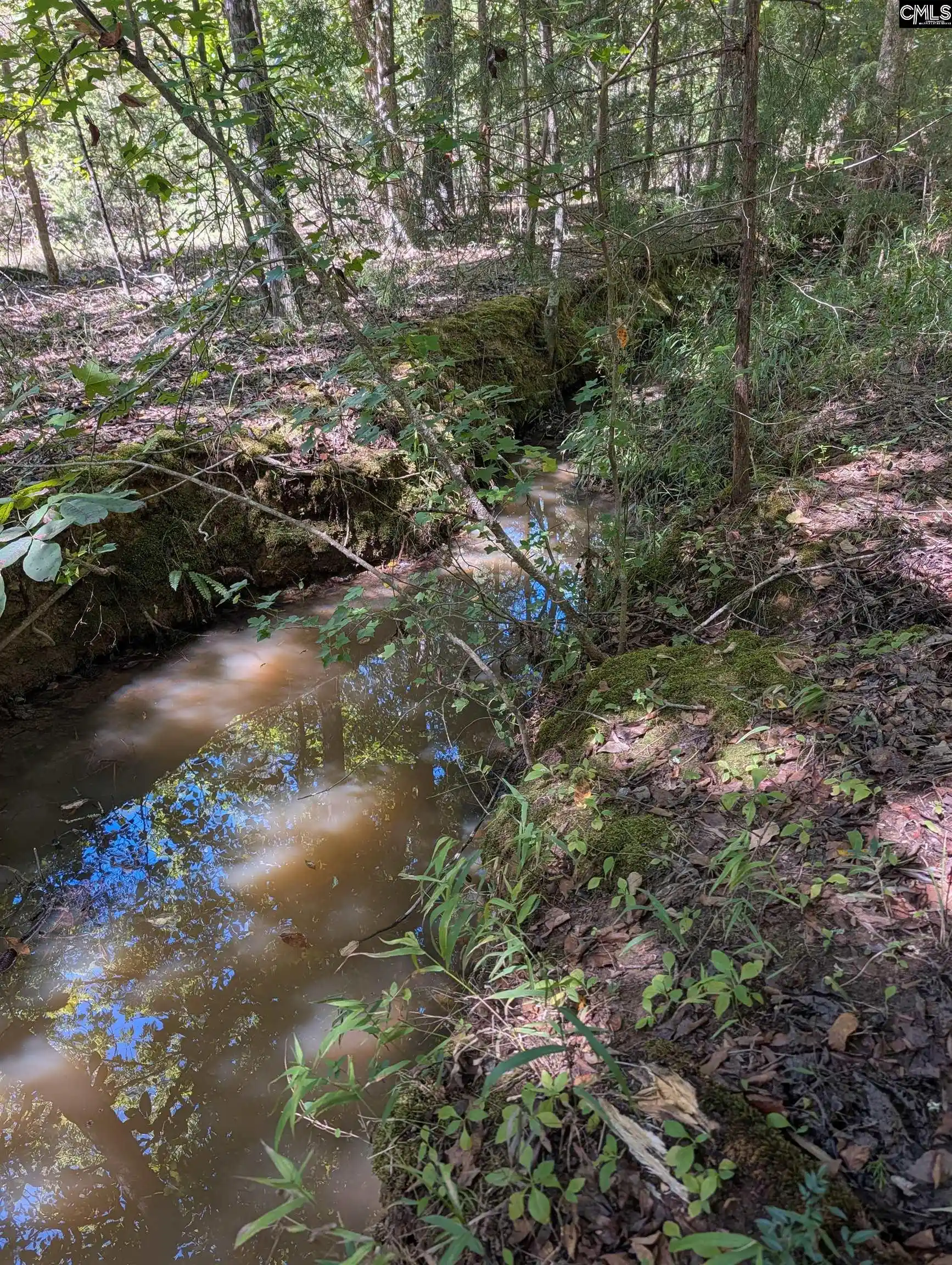 Photo 3 of Land for sale at 1107 Hopewell Church, Irmo, SC 29063 | MLS# 643832 | Listing updated on 2026-10-02