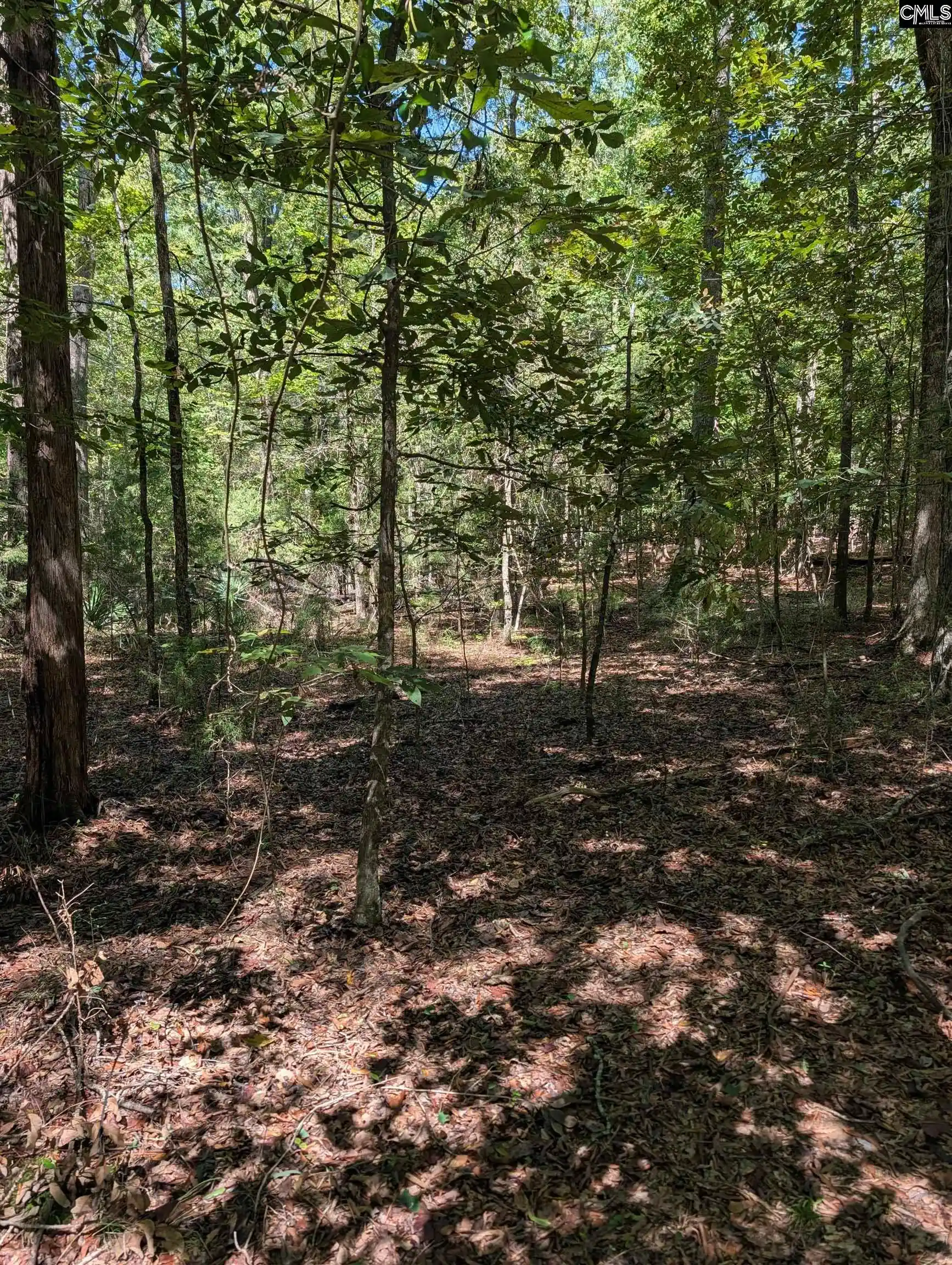 Photo 4 of Land for sale at 1107 Hopewell Church, Irmo, SC 29063 | MLS# 643832 | Listing updated on 2026-10-02