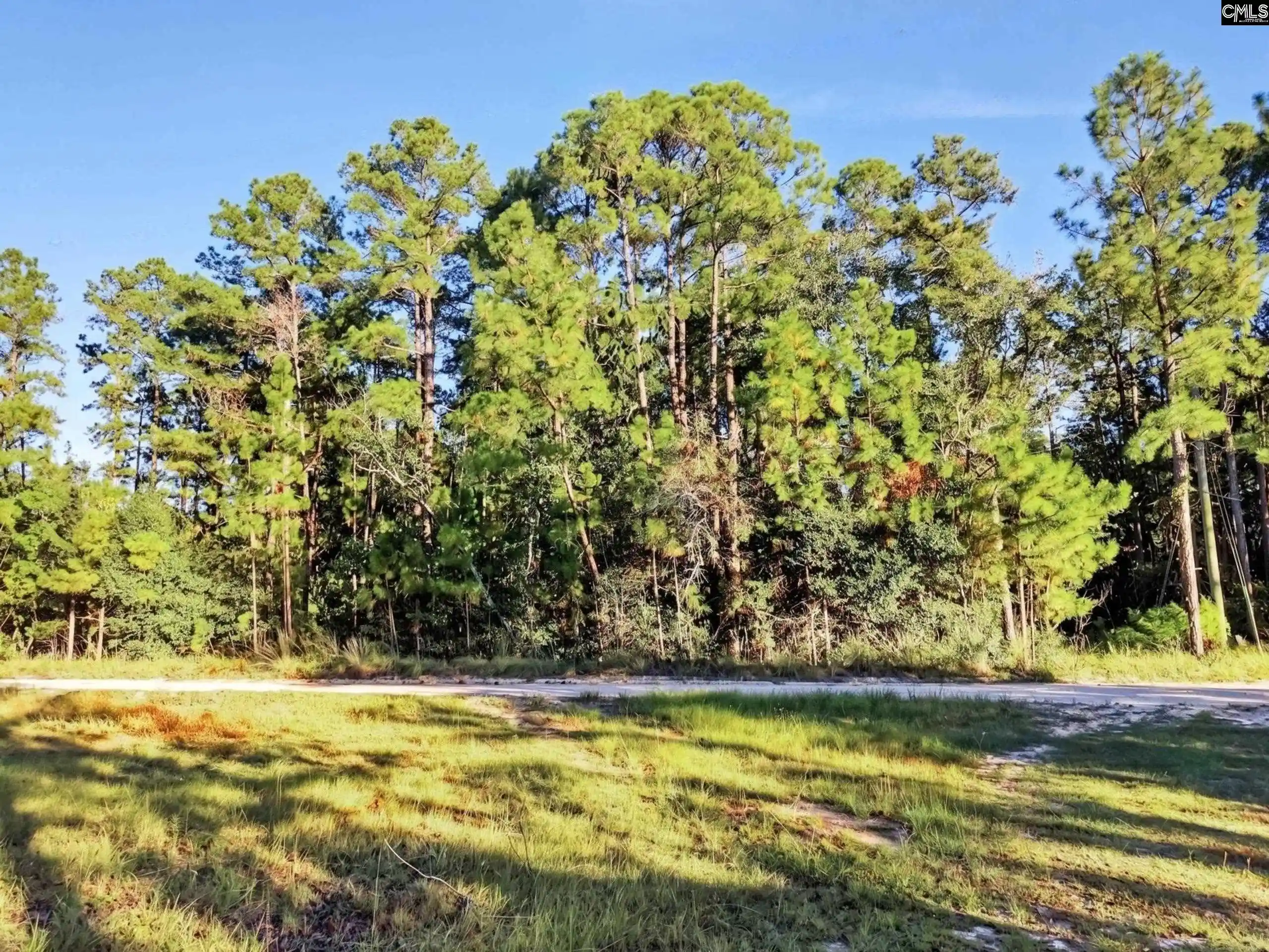 Photo 4 of Sale Pending at 125 Chippewa, Leesville, SC 29070 | MLS# 643905 | Listing updated on 2026-10-01
