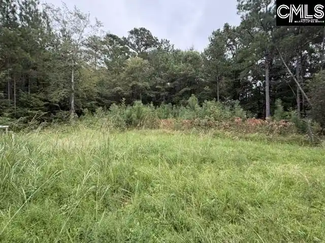 Photo 2 of Land for sale at 5485 Deadfall, Silverstreet, SC 29145 | MLS# 643941 | Listing updated on 2026-10-04