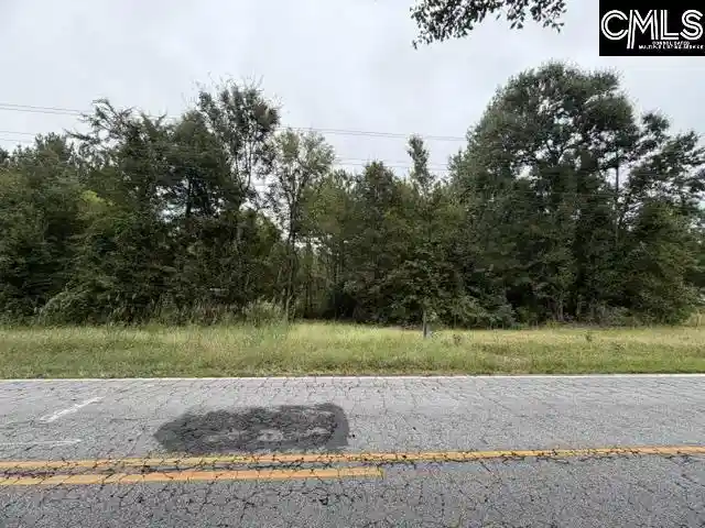 Photo 3 of Land for sale at 5485 Deadfall, Silverstreet, SC 29145 | MLS# 643941 | Listing updated on 2026-10-04