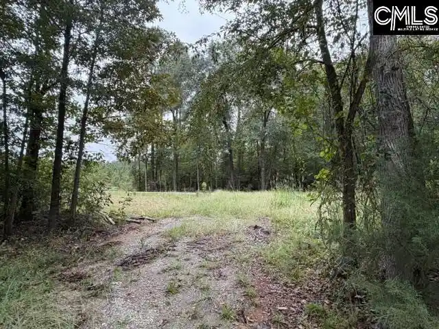 Photo 3 of Land for sale at 5485 Deadfall, Silverstreet, SC 29145 | MLS# 643941 | Listing updated on 2026-10-04