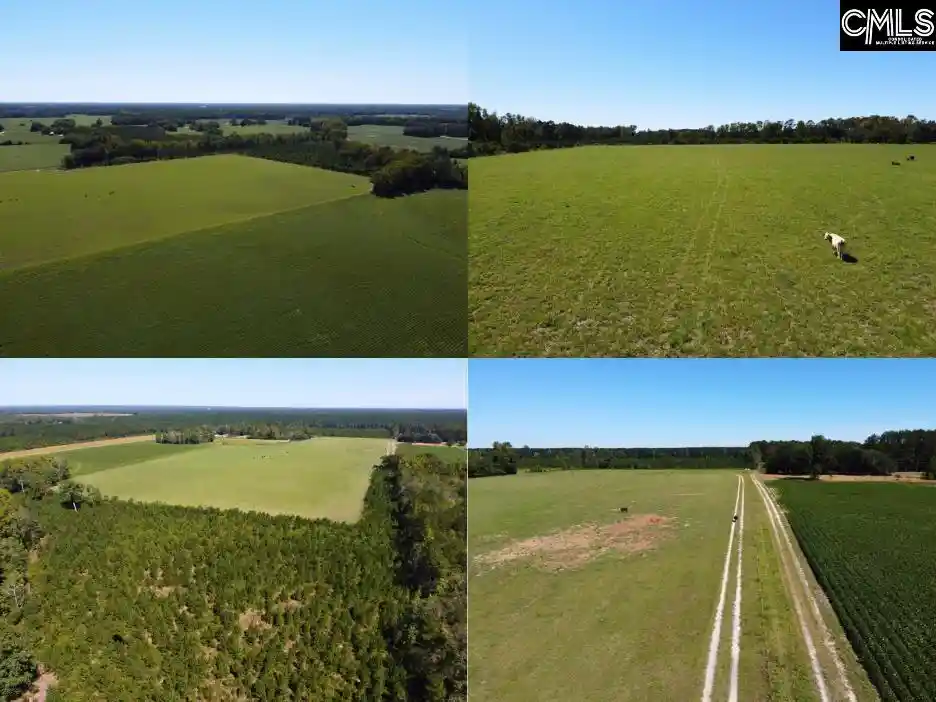 Photo 1 of Land for sale at 0 Tema, Hartsville, SC 29550 | MLS# 644067 | Listing updated on 2026-09-30