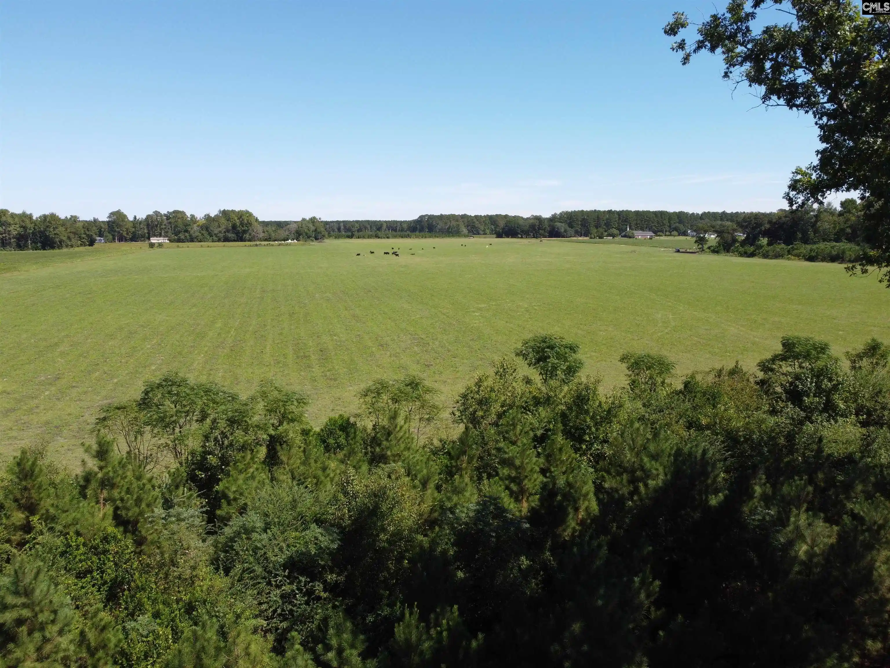 Photo 2 of Land for sale at 0 Tema, Hartsville, SC 29550 | MLS# 644067 | Listing updated on 2026-09-30