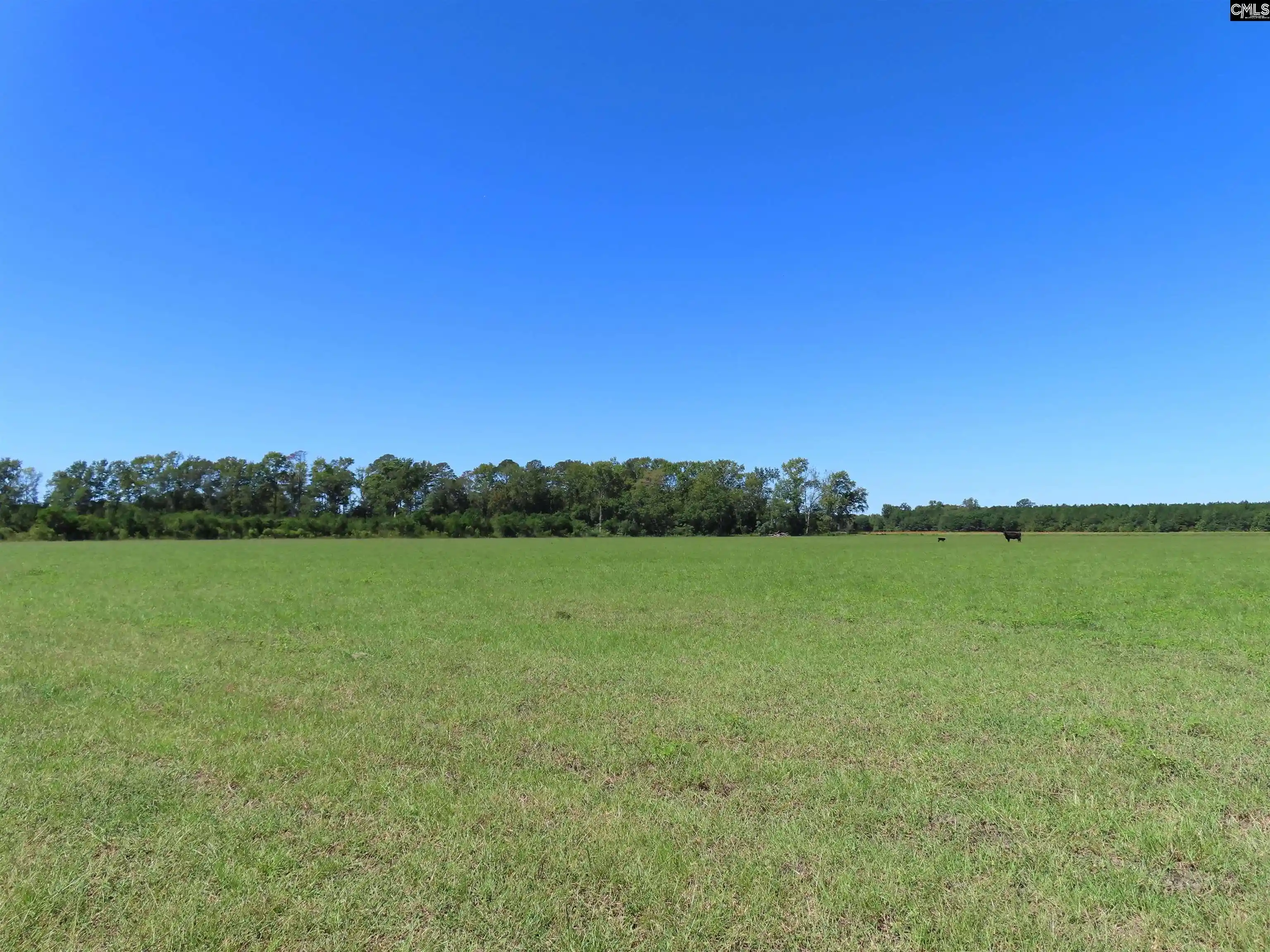 Photo 3 of Land for sale at 0 Tema, Hartsville, SC 29550 | MLS# 644067 | Listing updated on 2026-09-30