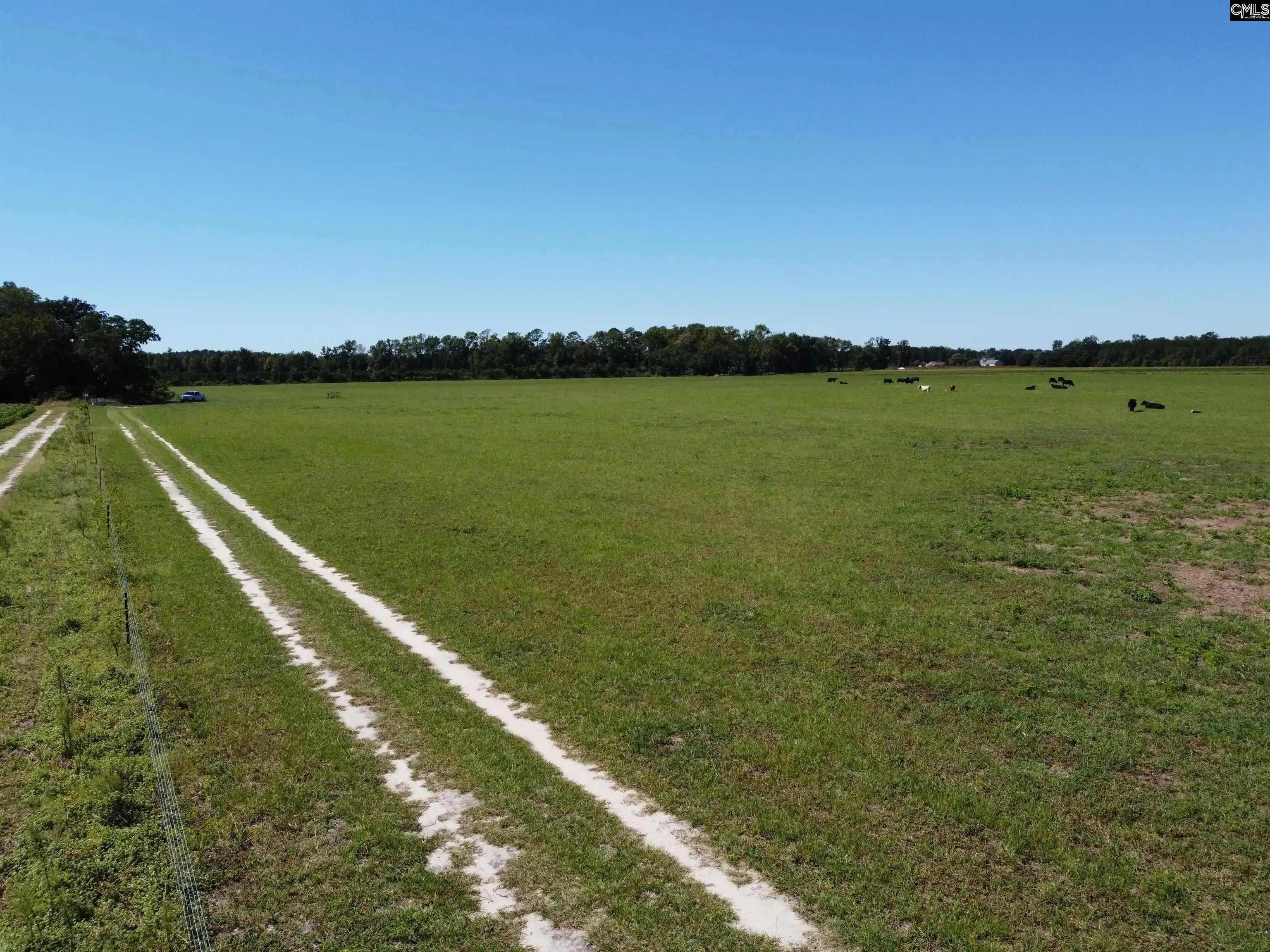 Photo 3 of Land for sale at 0 Tema, Hartsville, SC 29550 | MLS# 644067 | Listing updated on 2026-09-30