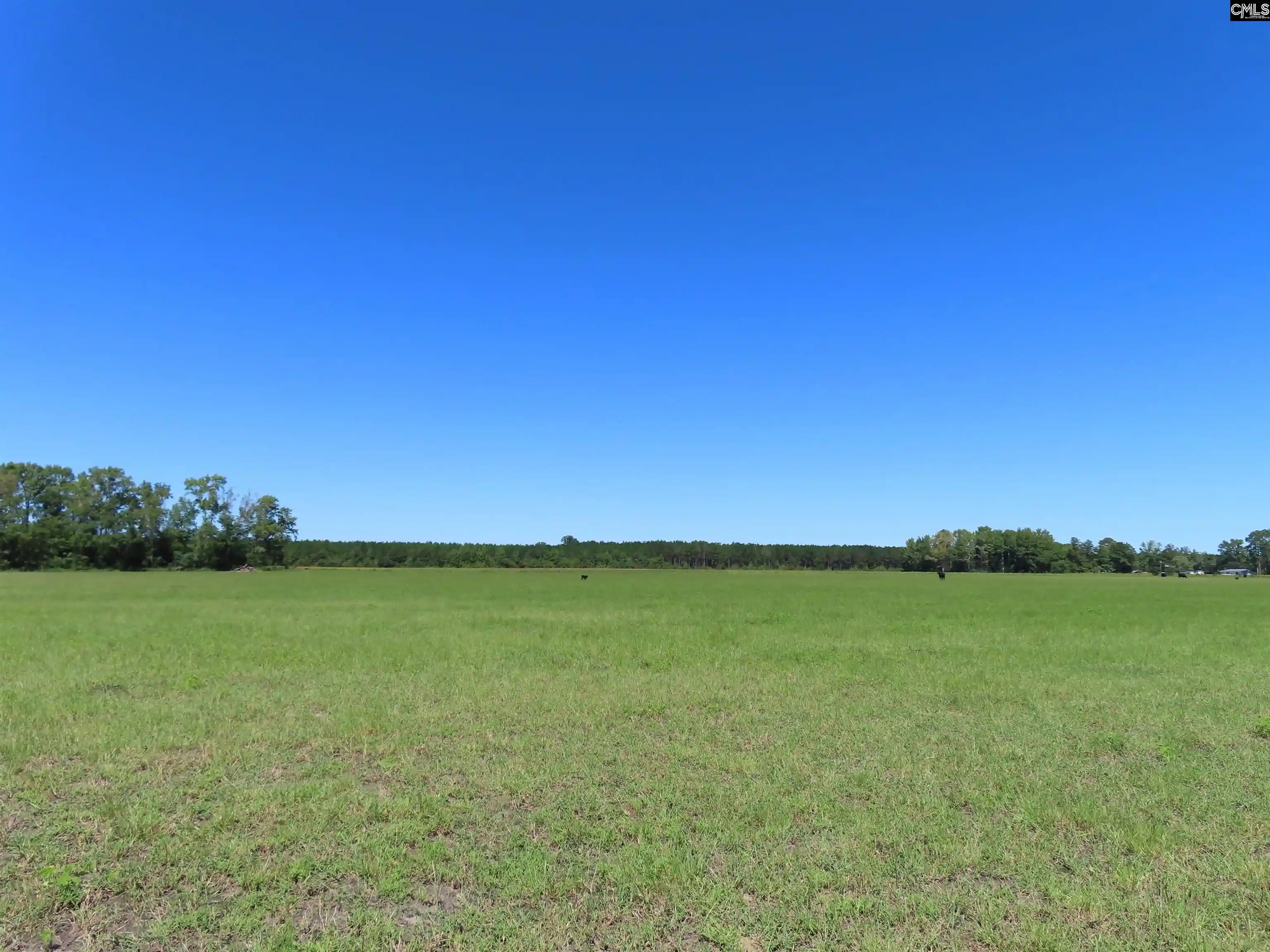 Photo 4 of Land for sale at 0 Tema, Hartsville, SC 29550 | MLS# 644067 | Listing updated on 2026-09-30