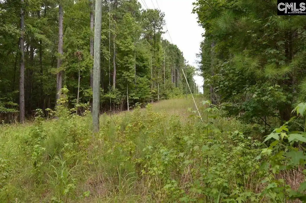 Photo 1 of Sale Pending at 2087 Longtown, Ridgeway, SC 29130 | MLS# 644090 | Listing updated on 2026-10-01