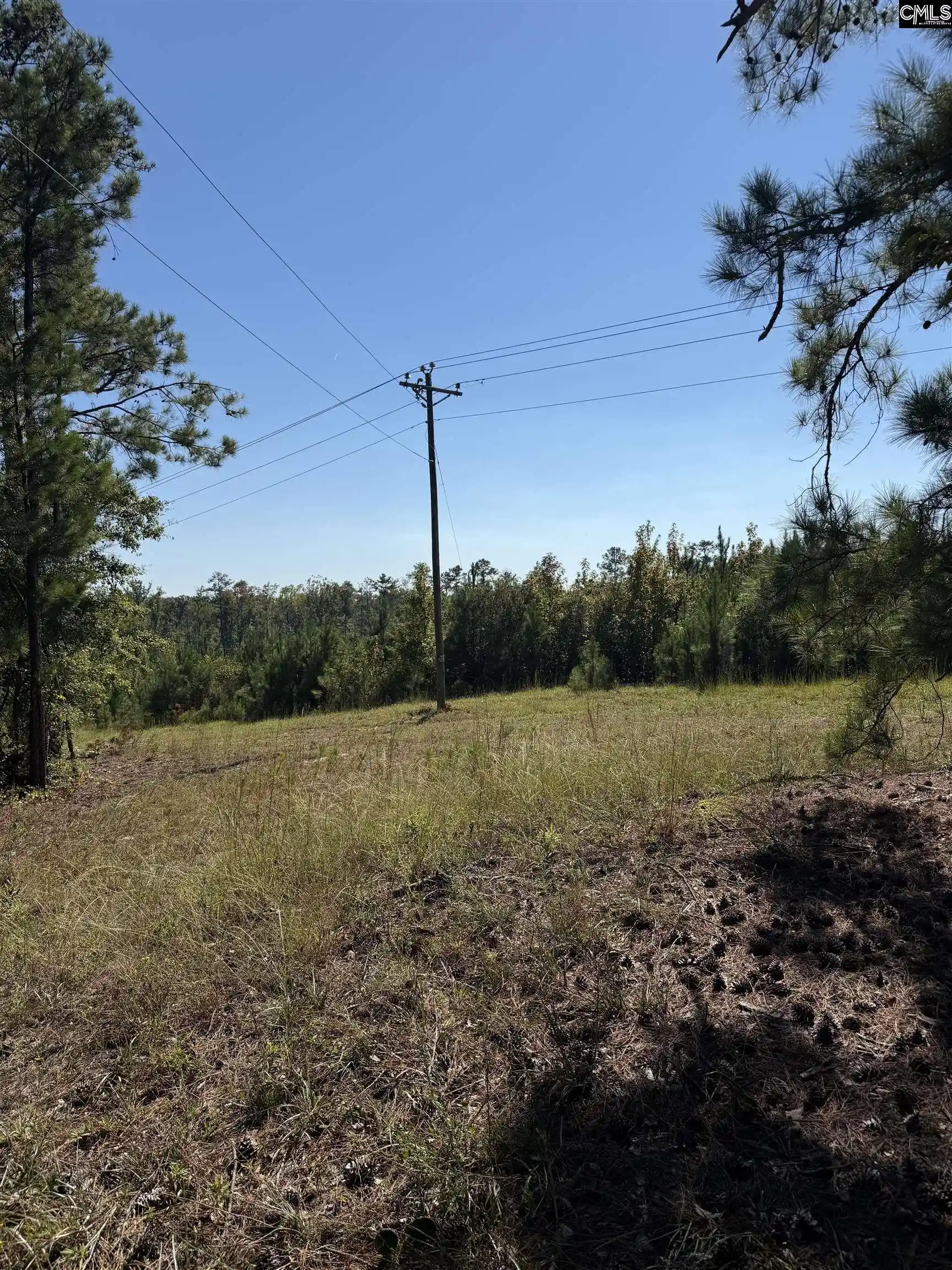 Photo 3 of Sale Pending at 681 Tract 1 Barfield, Elgin, SC 29045 | MLS# 644192 | Listing updated on 2026-10-03
