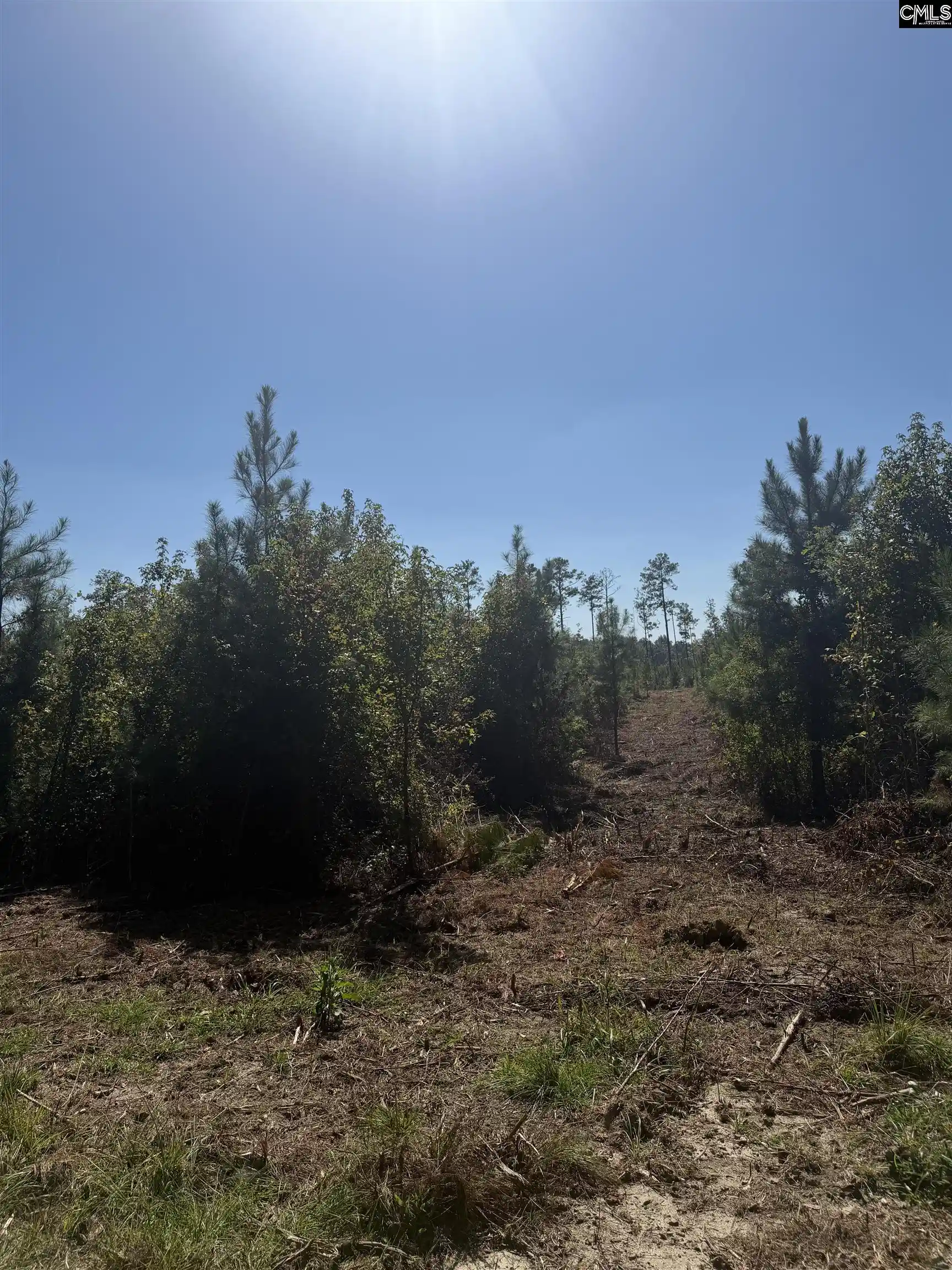 Photo 4 of Sale Pending at 681 Tract 2 Barfield, Elgin, SC 29045 | MLS# 644193 | Listing updated on 2026-10-03