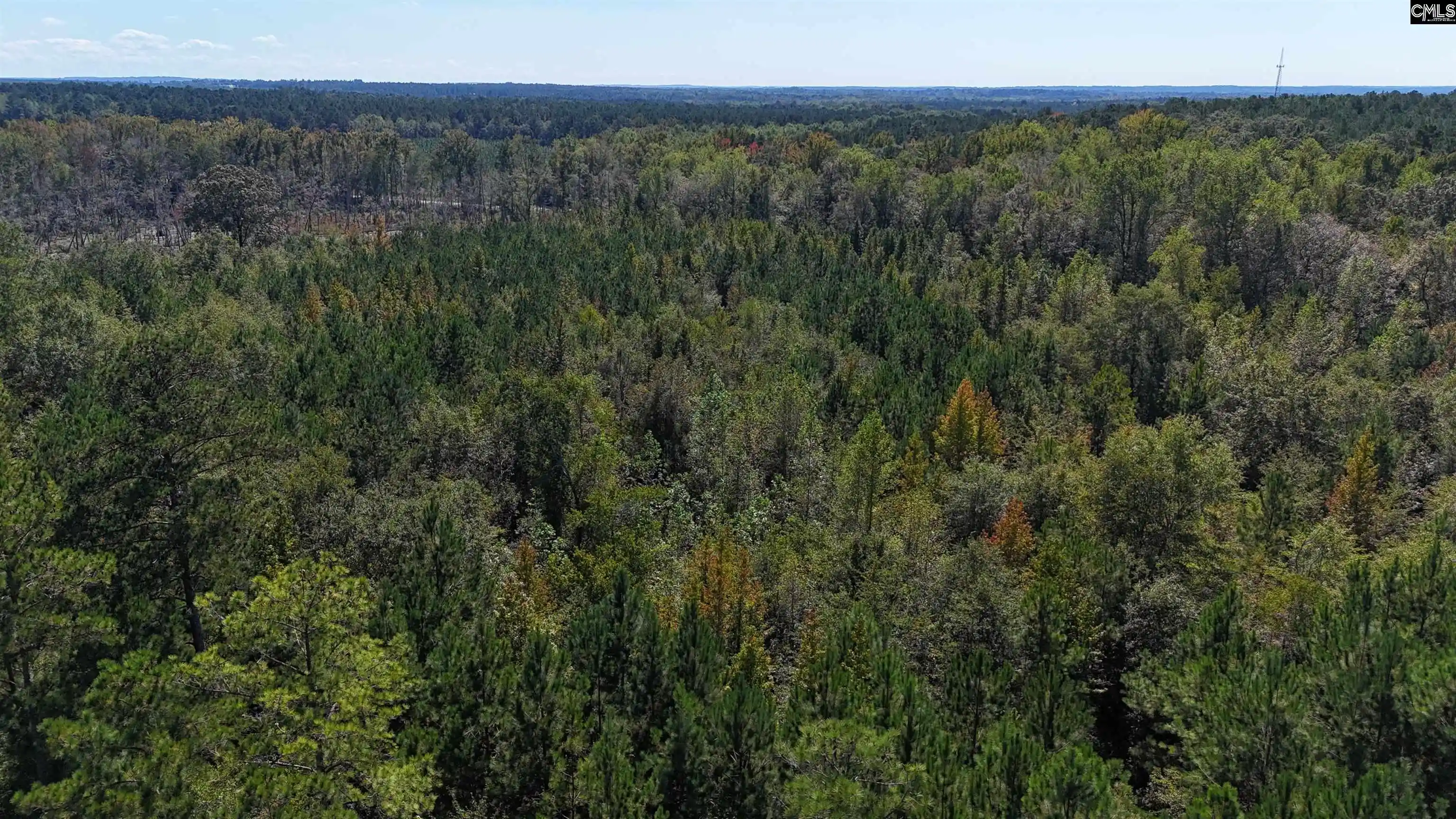 Photo 3 of Land for sale at 1754 Brewer Springs, Camden, SC 29020 | MLS# 644243 | Listing updated on 2026-10-02