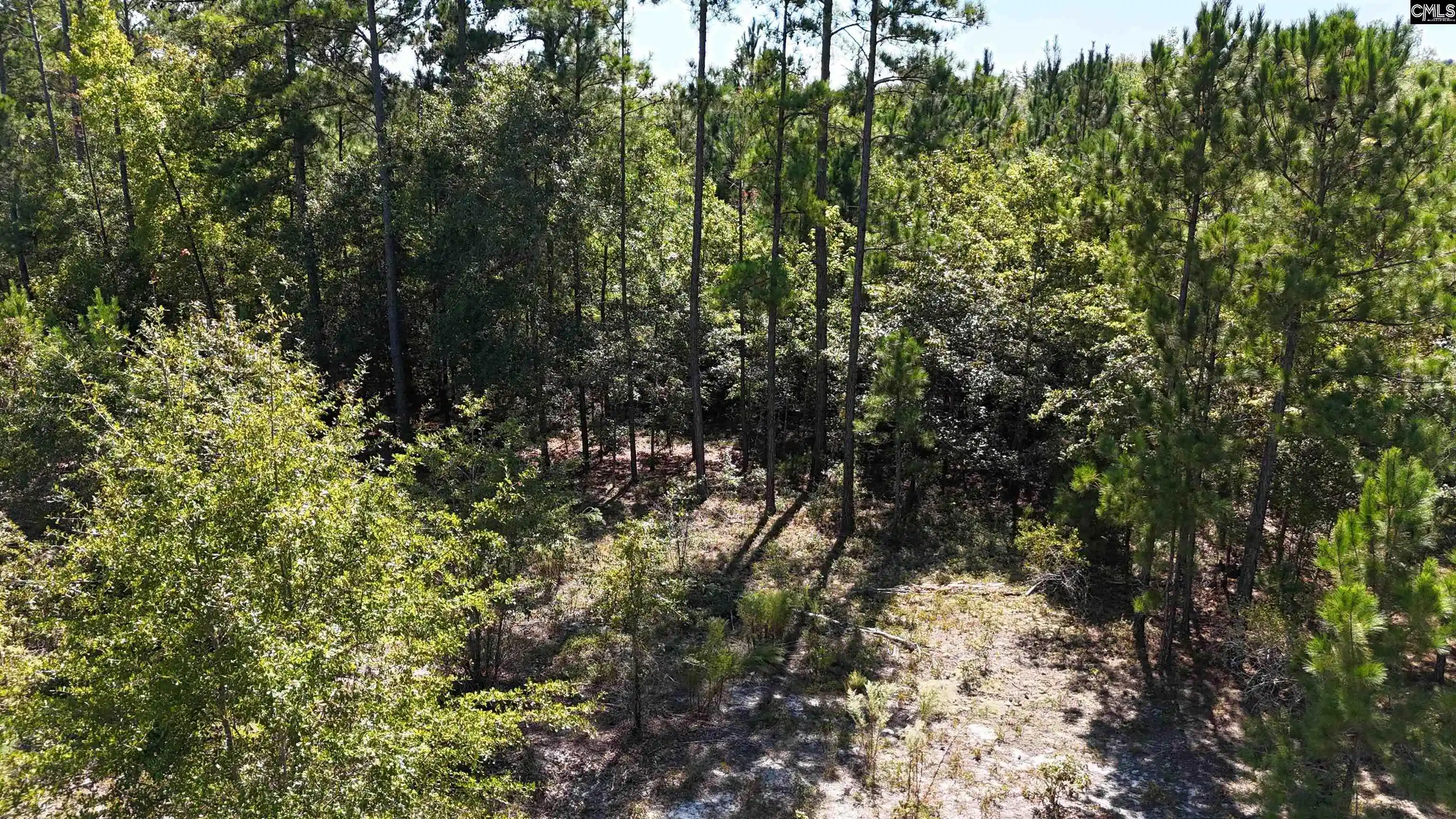 Photo 4 of Land for sale at 1754 Brewer Springs, Camden, SC 29020 | MLS# 644243 | Listing updated on 2026-10-02