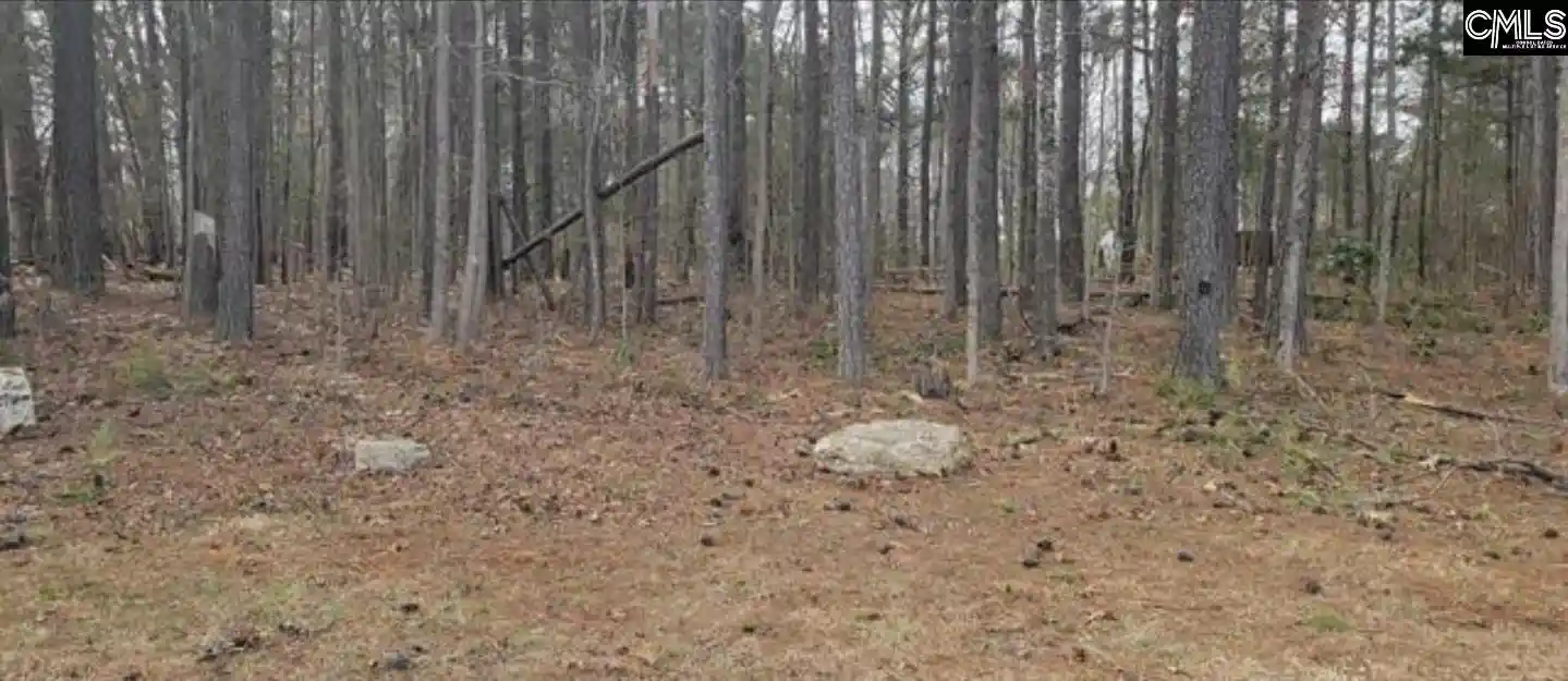 Photo 4 of Land for sale at 2458 Chapin, Chapin, SC 29036 | MLS# 644278 | Listing updated on 2026-10-02