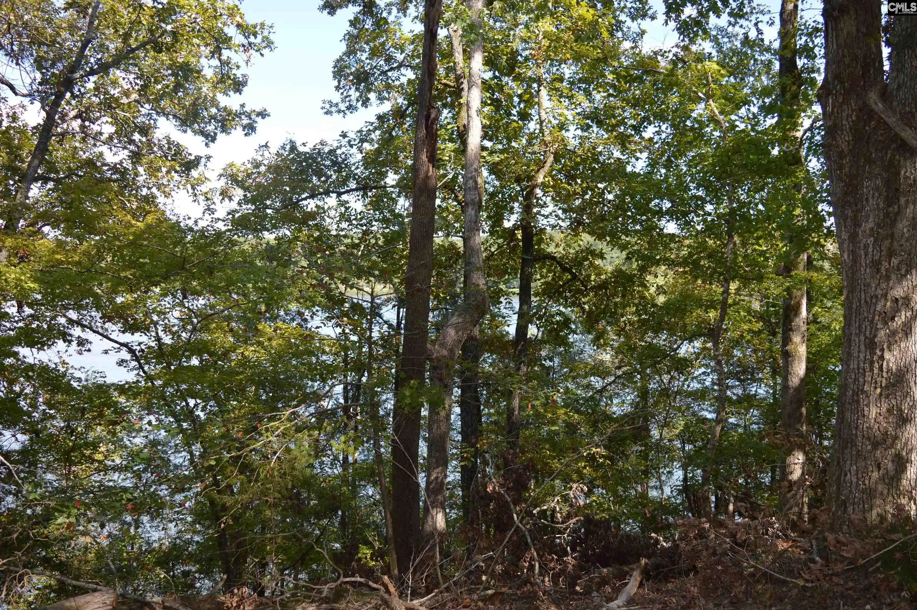 Photo 1 of Land for sale at Lot 25 Wateree Key, Winnsboro, SC 29180 | MLS# 644306 | Listing updated on 2026-10-03