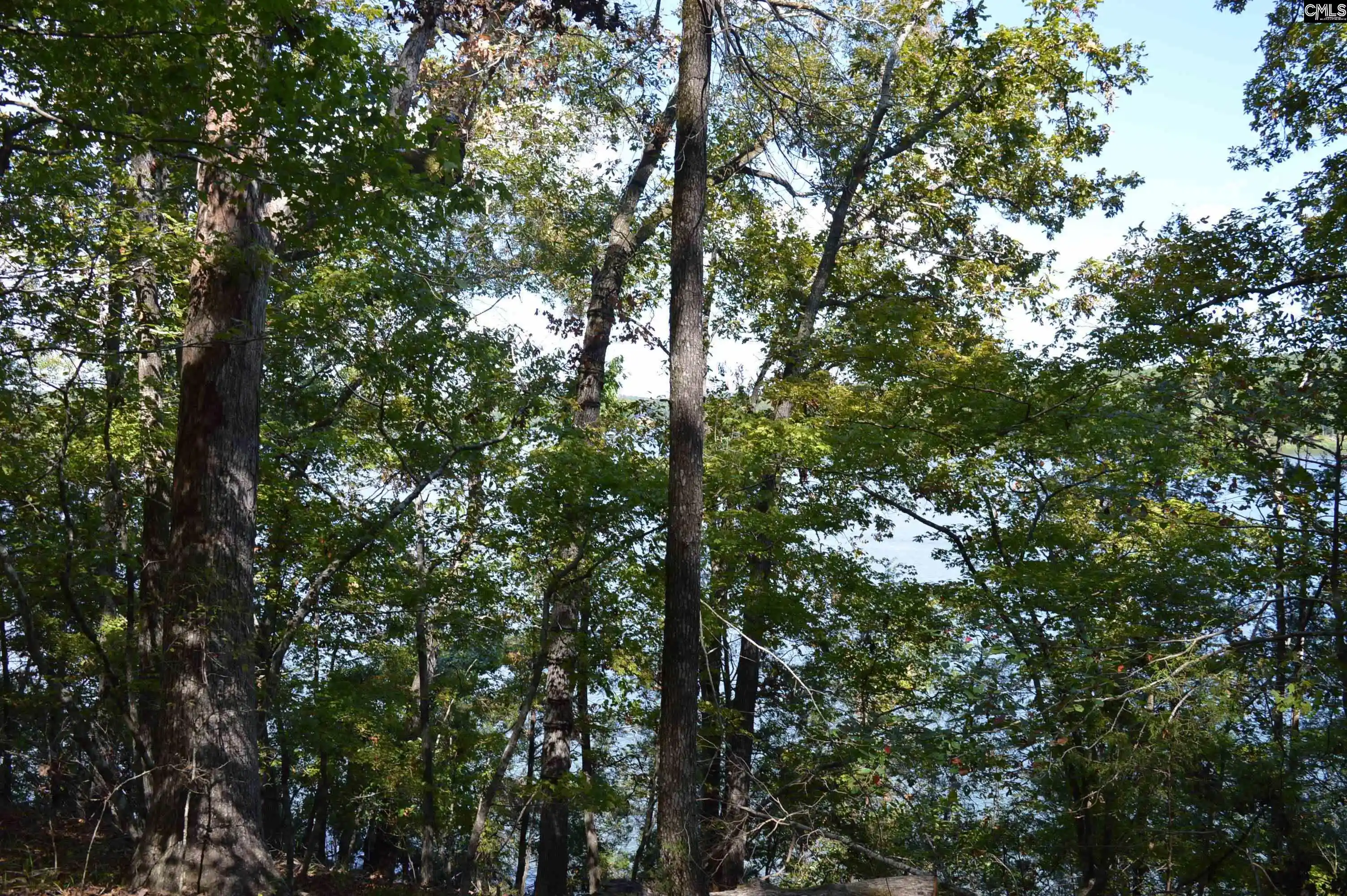Photo 3 of Land for sale at Lot 25 Wateree Key, Winnsboro, SC 29180 | MLS# 644306 | Listing updated on 2026-10-03