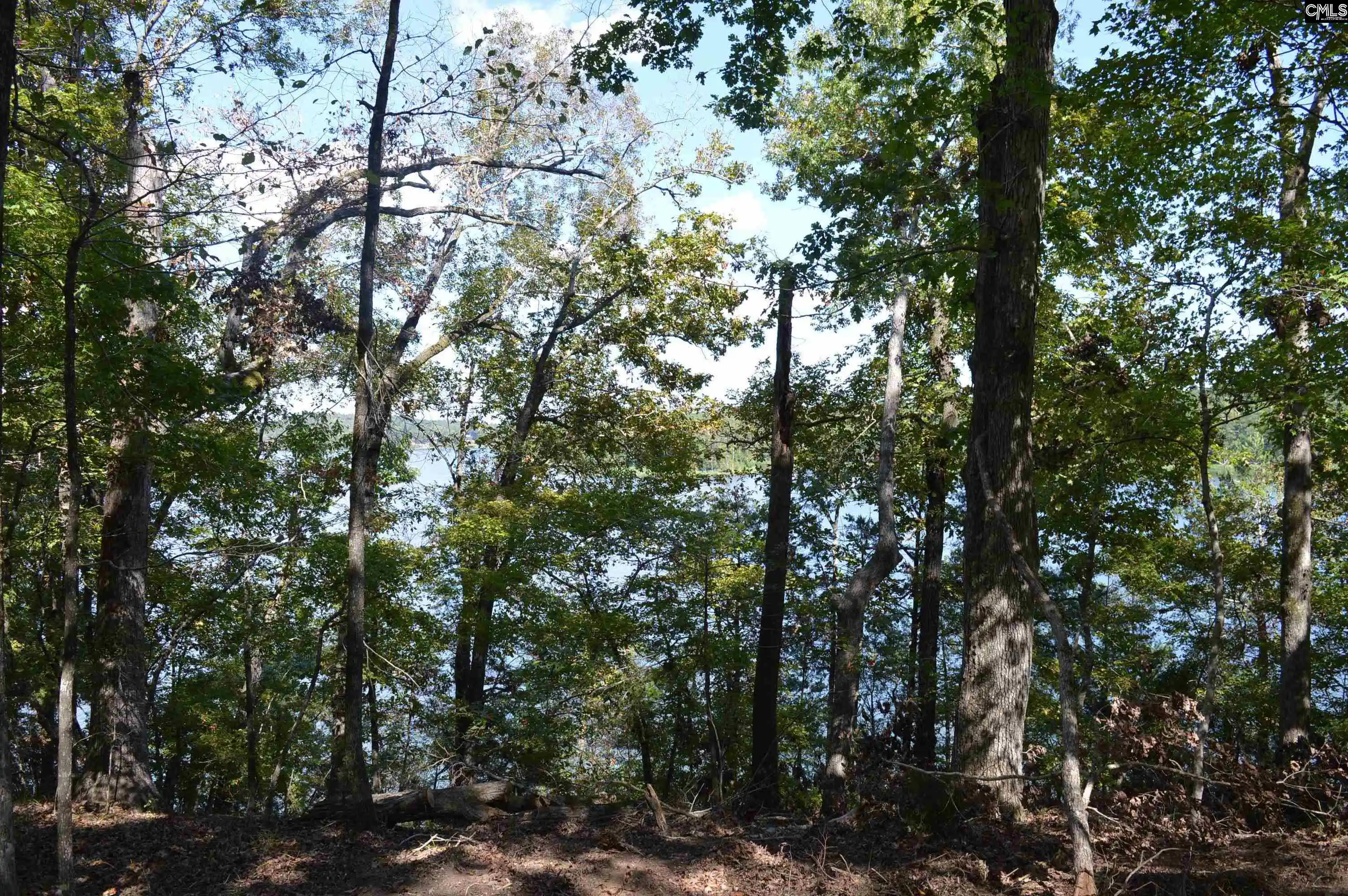 Photo 3 of Land for sale at Lot 25 Wateree Key, Winnsboro, SC 29180 | MLS# 644306 | Listing updated on 2026-10-03