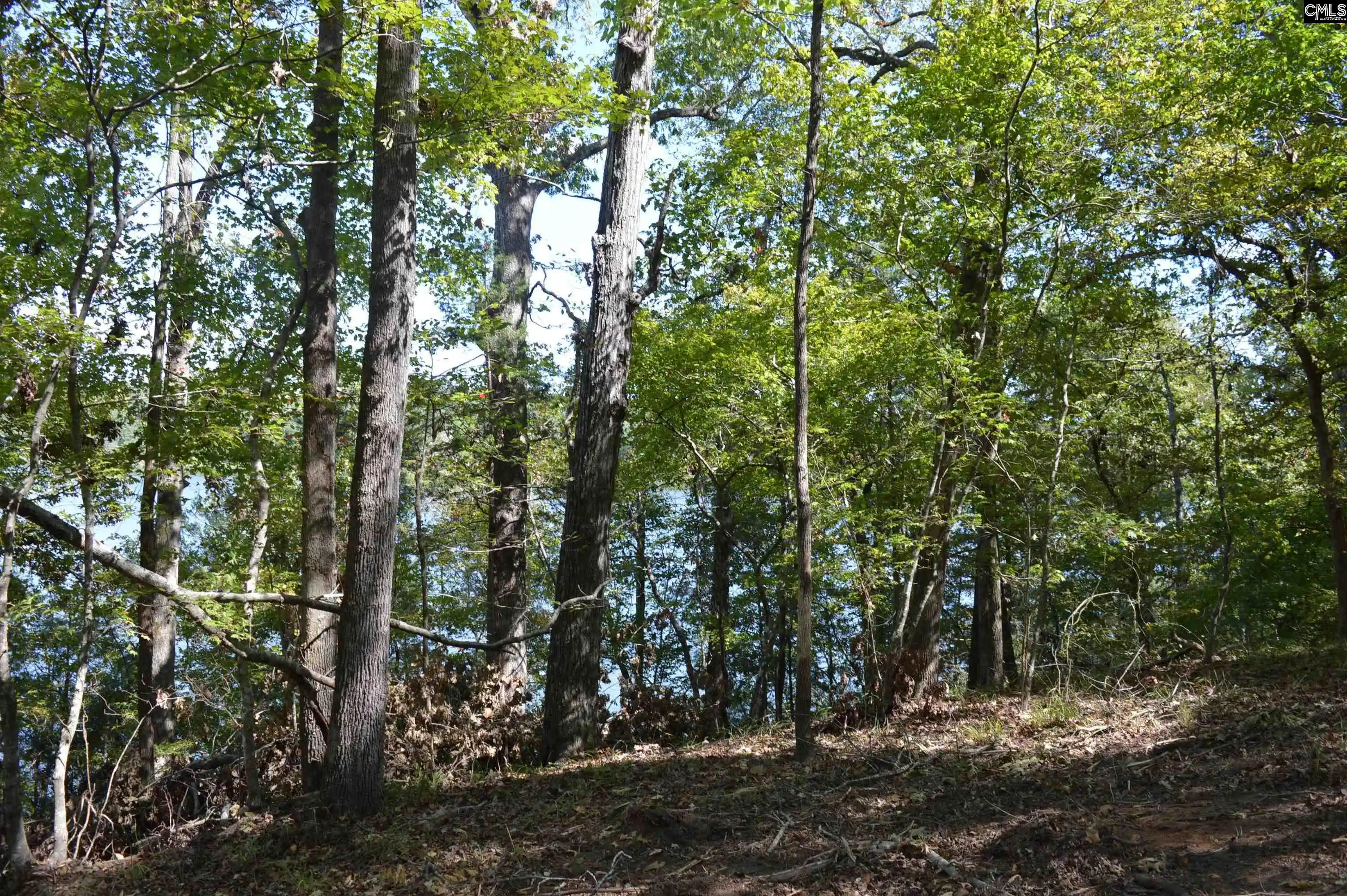 Photo 4 of Land for sale at Lot 25 Wateree Key, Winnsboro, SC 29180 | MLS# 644306 | Listing updated on 2026-10-03