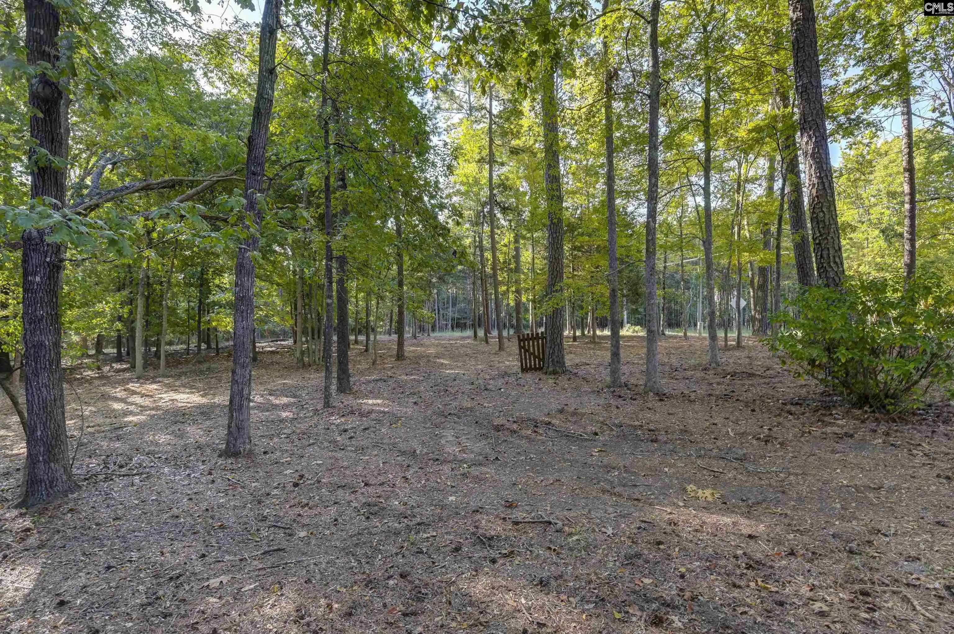 Photo 3 of Single family home for sale at 1004 Fieldstone, Chapin, SC 29036 | MLS# 644320 | Listing updated on 2026-10-16