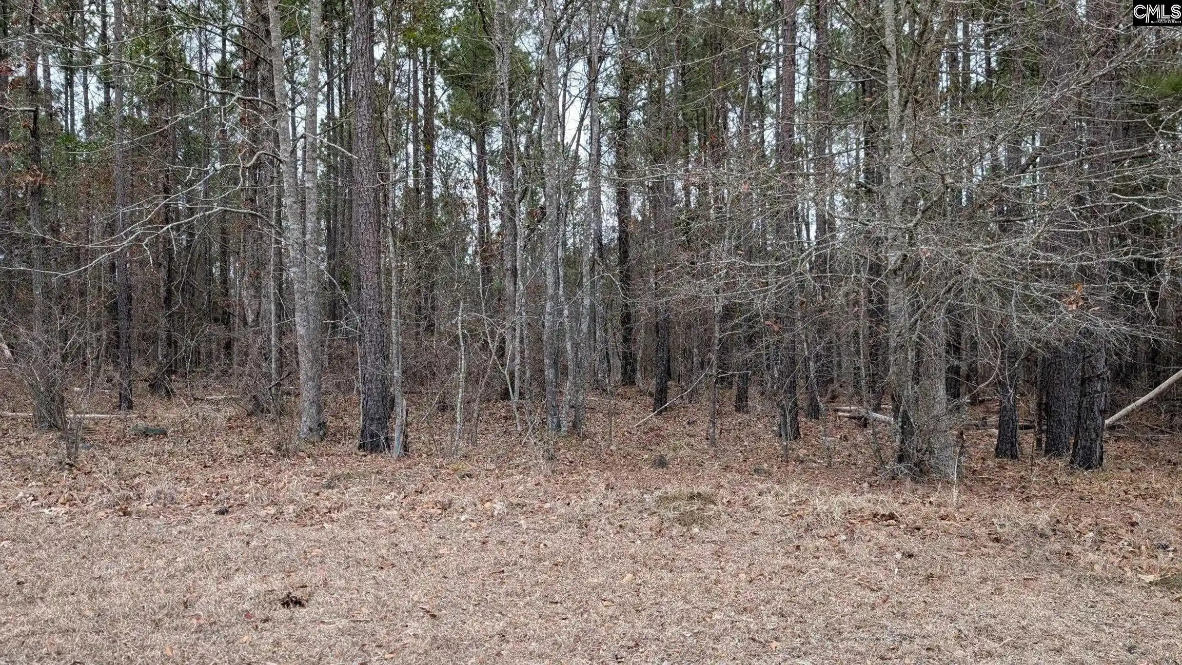 Photo 1 of Land for sale at Lot 3 Retreat Way, Ridgeway, SC 29130 | MLS# 644338 | Listing updated on 2026-10-03