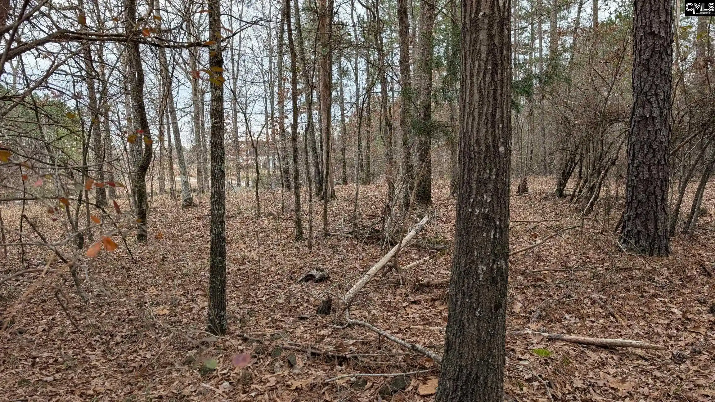 Photo 2 of Land for sale at Lot 3 Retreat Way, Ridgeway, SC 29130 | MLS# 644338 | Listing updated on 2026-10-03