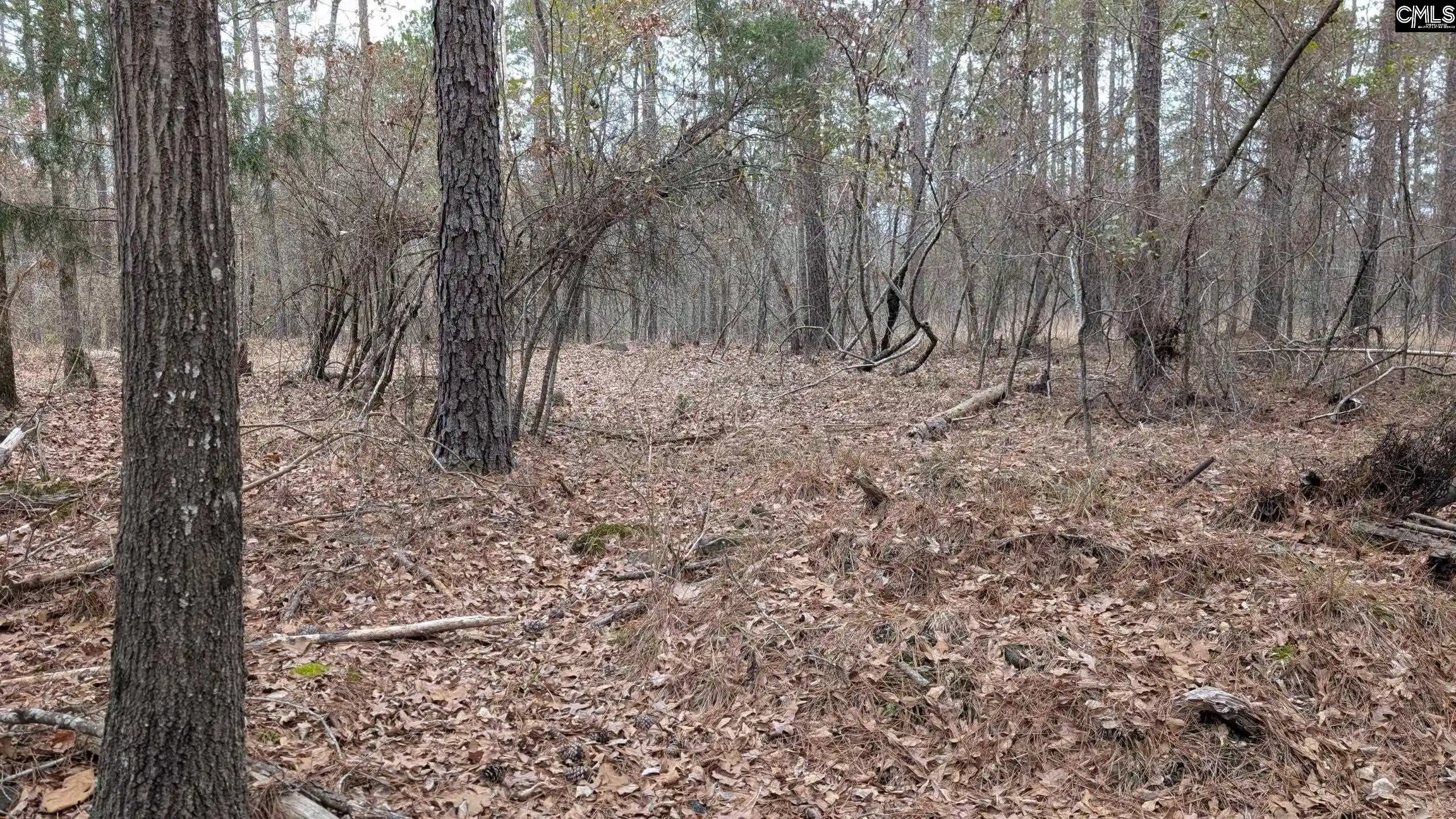 Photo 3 of Land for sale at Lot 3 Retreat Way, Ridgeway, SC 29130 | MLS# 644338 | Listing updated on 2026-10-03